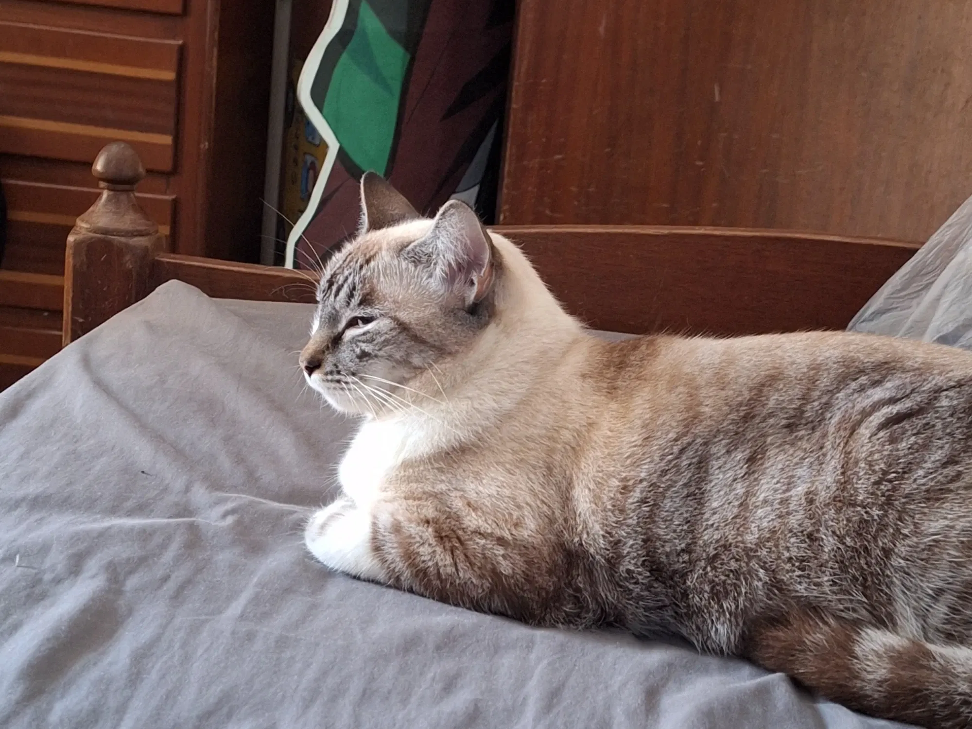 Mi pequeña medicina