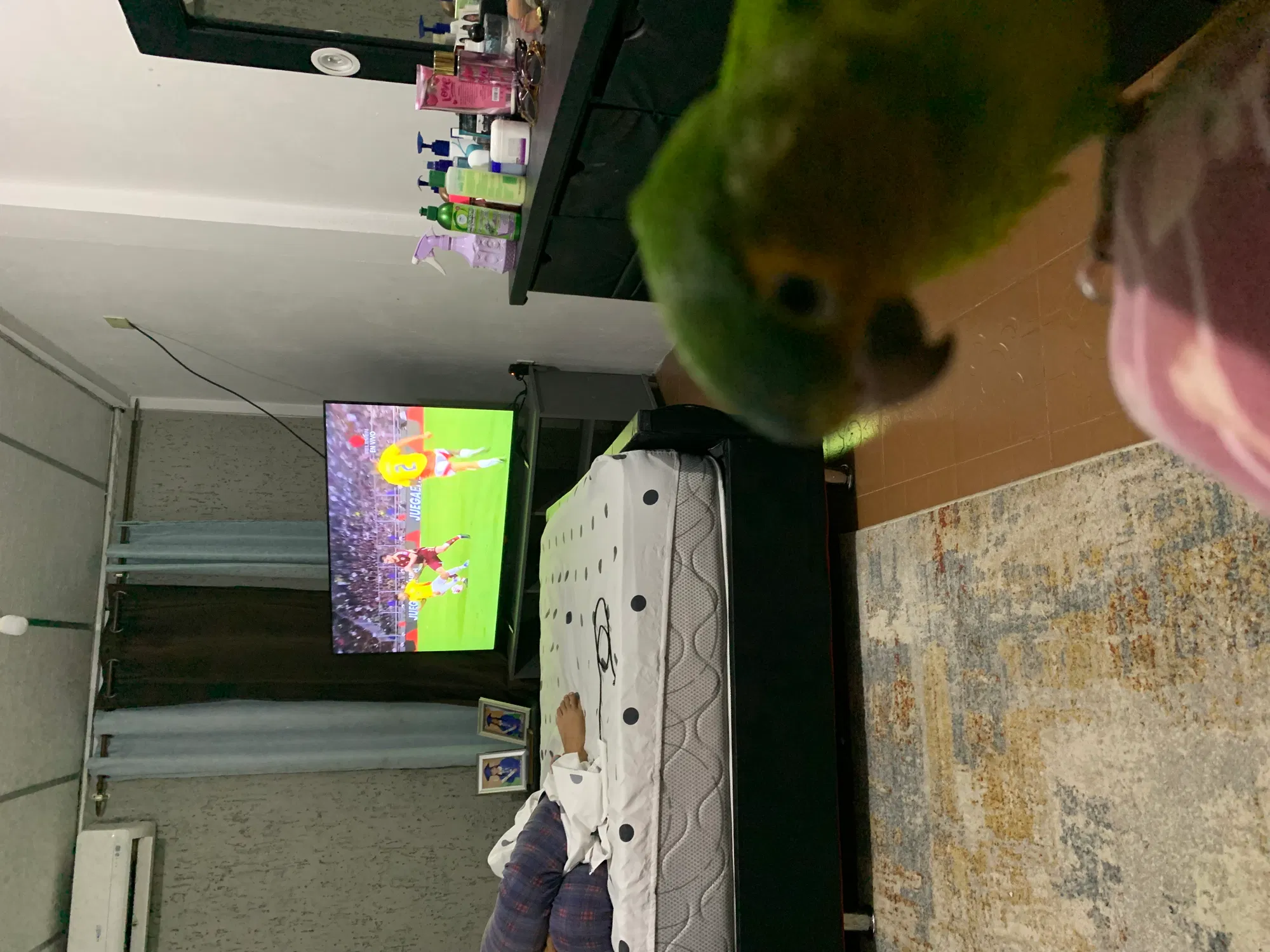 2rsyK0t9nZBIdlzK_IMG_2882.jpeg