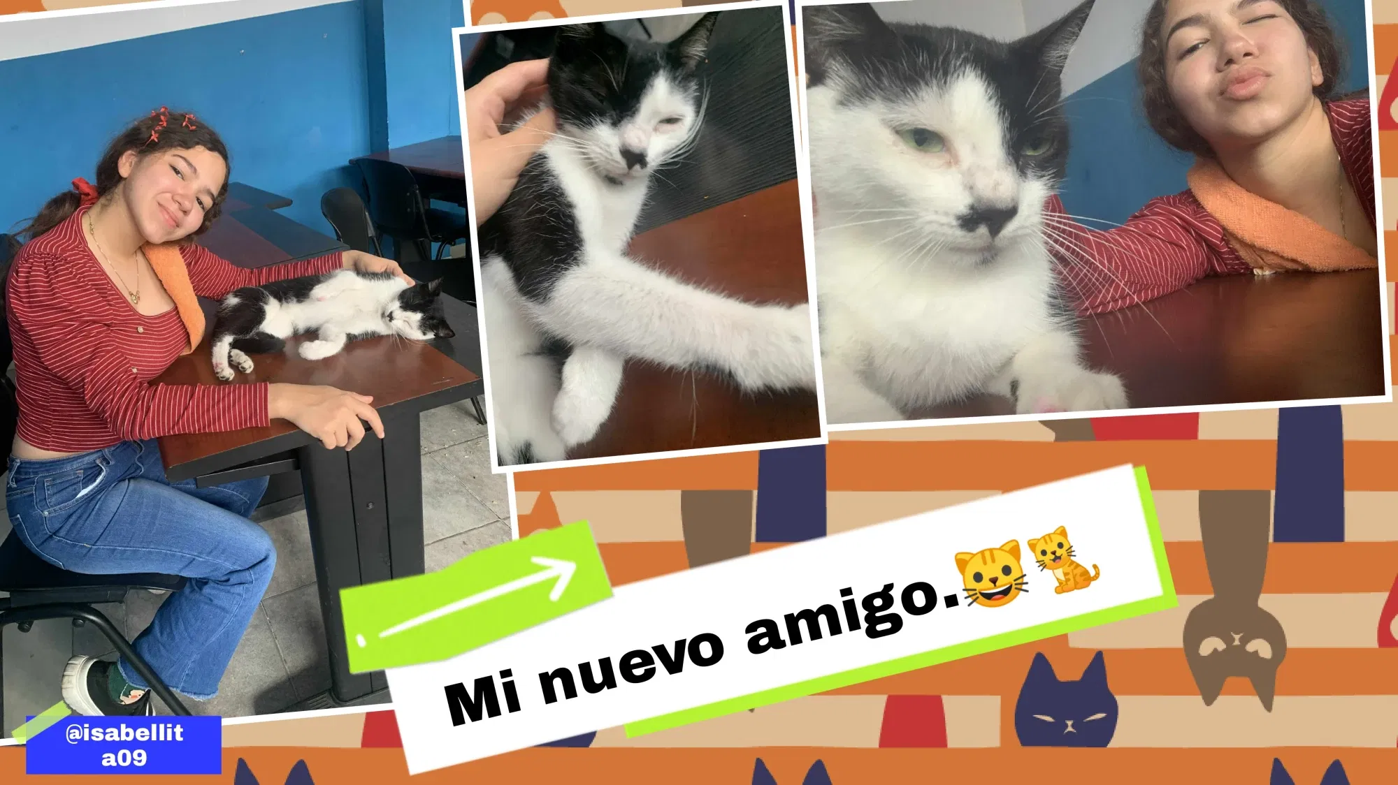  (Esp-Ing) "Mi nuevo amigo.🐱🐈💓" / "My new friend.🐱🐈💓"