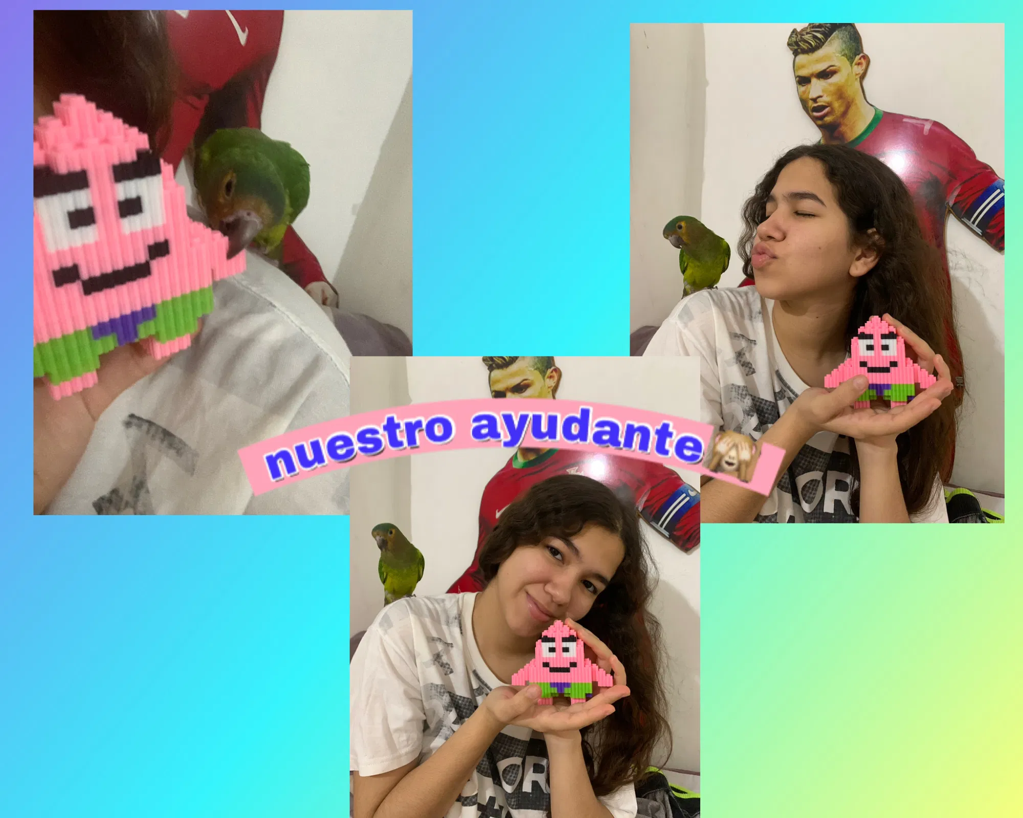 iT0luTdW7eIrIpwP_incollage_save.png