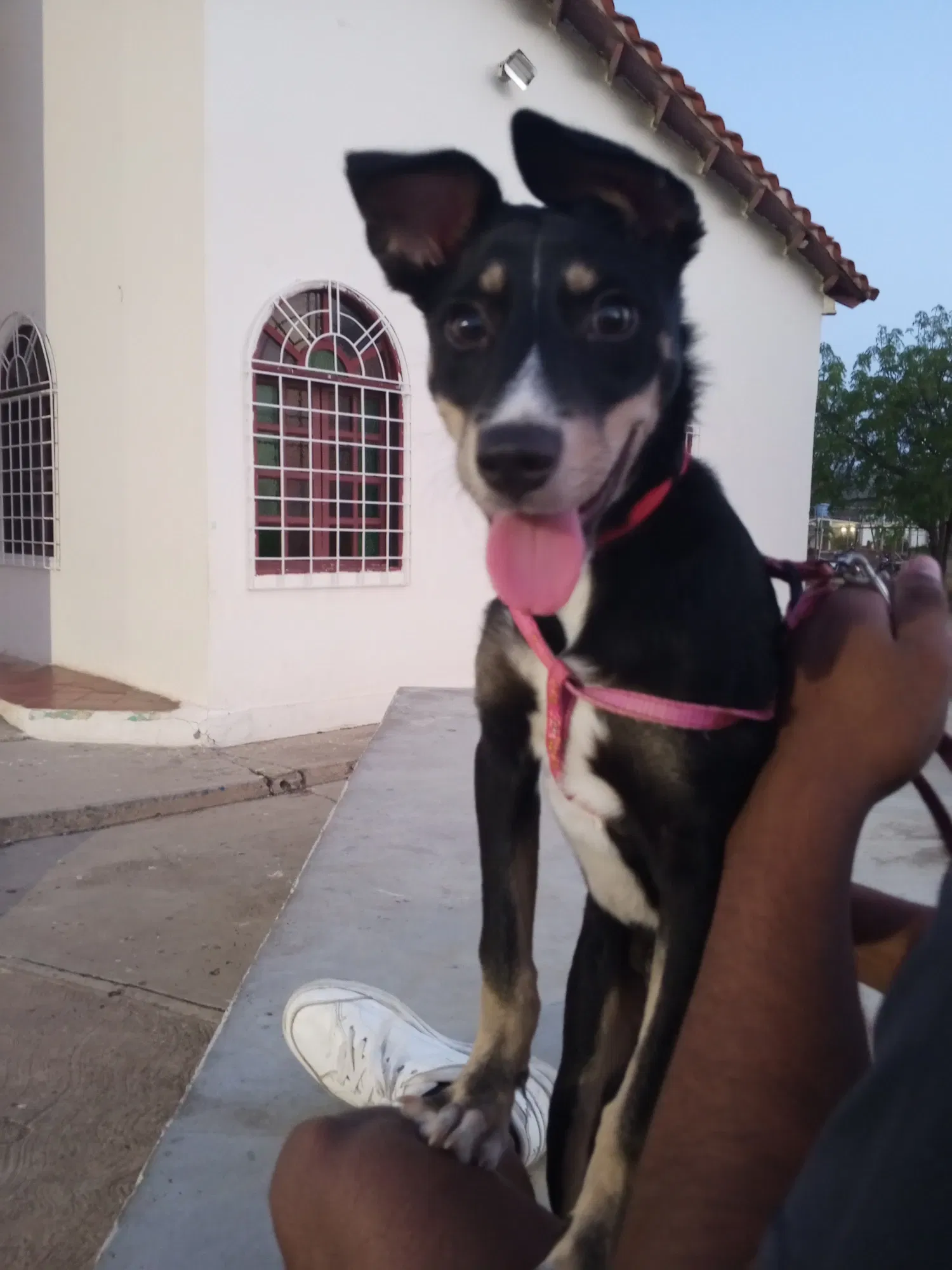 3MWgWpOlBDwcahAL_1000535089.webp