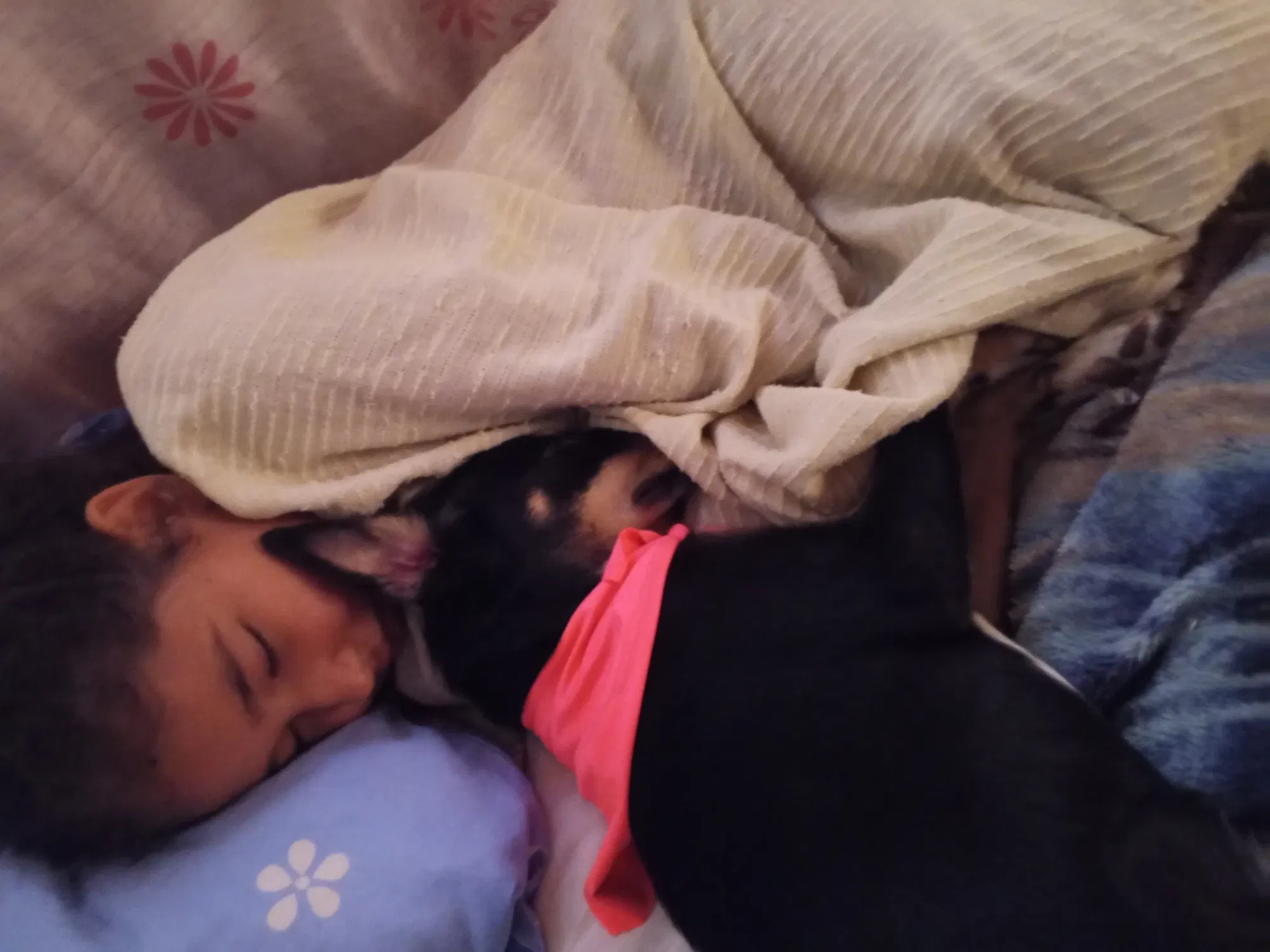 BbEb0swYLVFH7Pqd_1000637404.webp