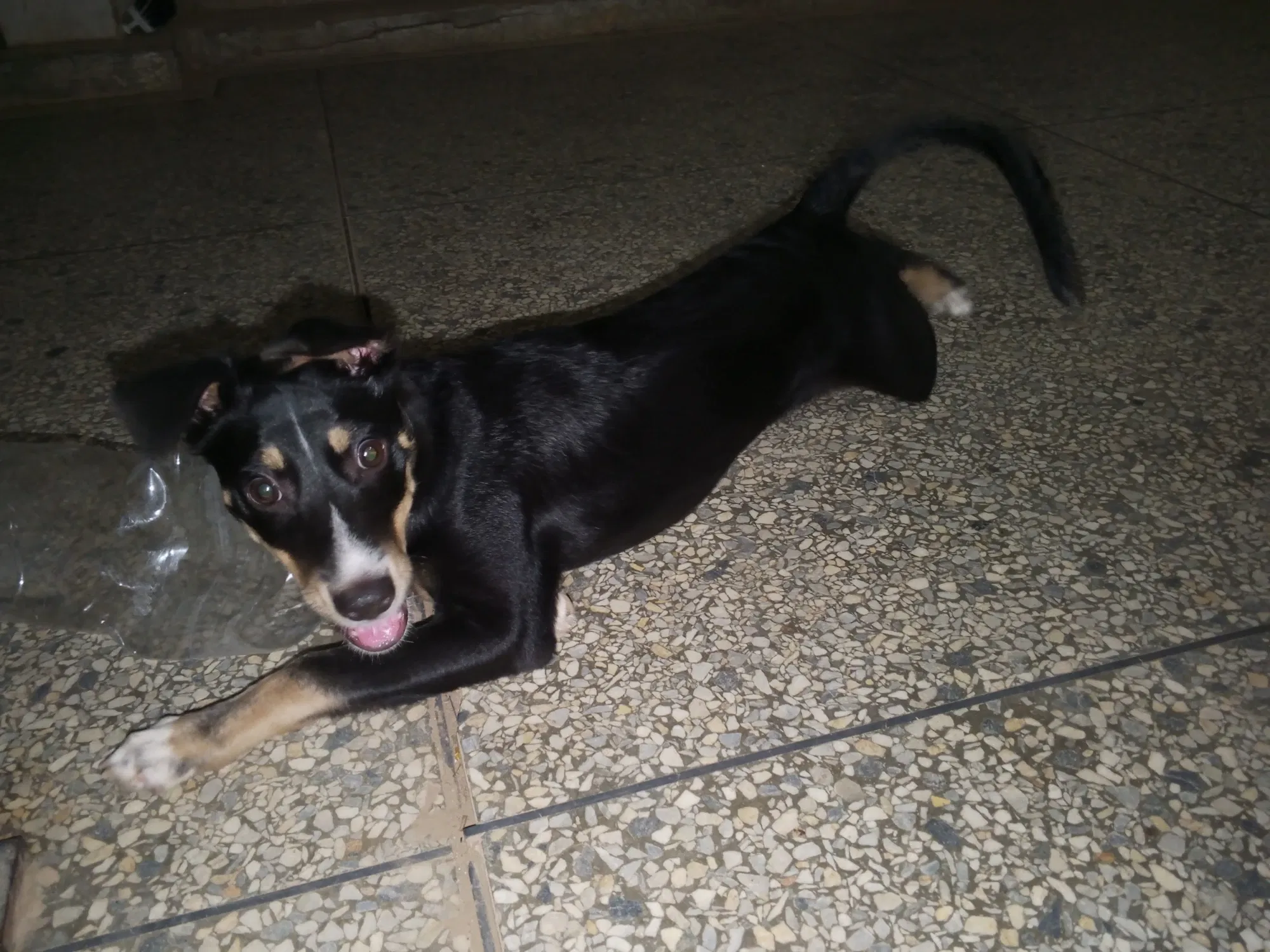 Twklnn86Zz019M6u_1000508722.webp