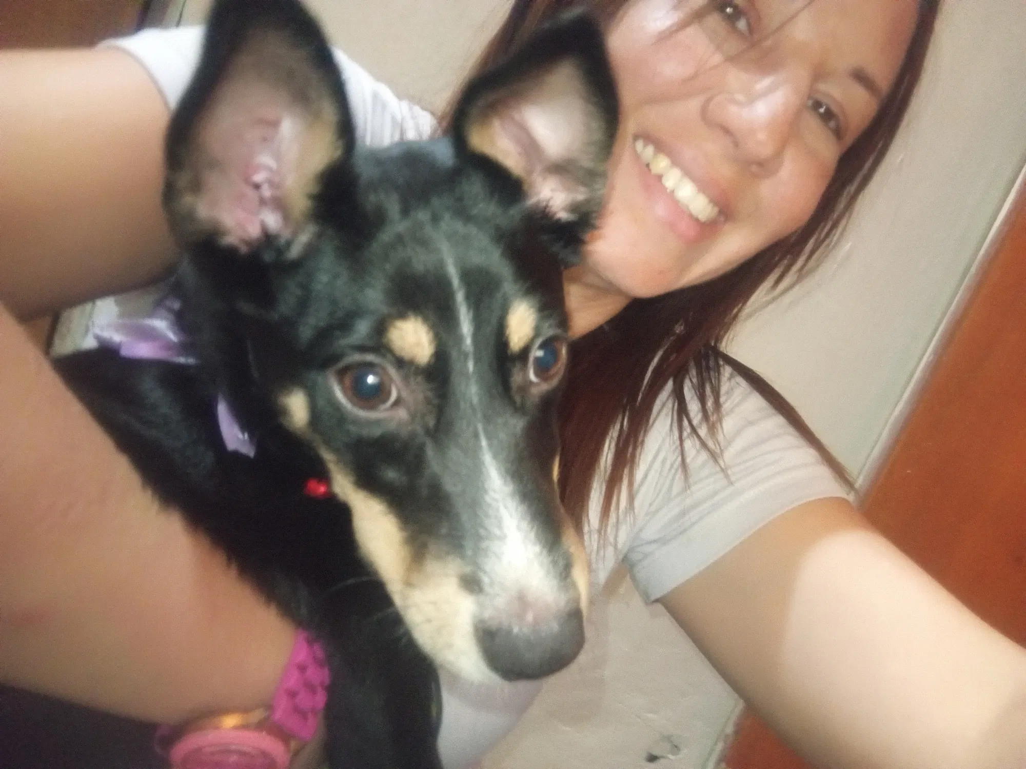 VSj7mm8w9QJtX2U8_1000618240.webp