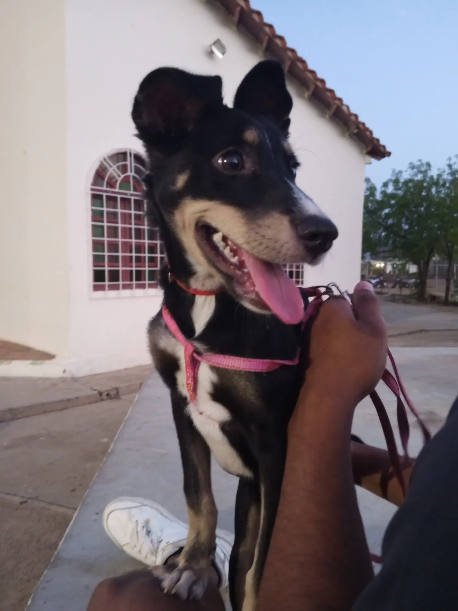 WSmnTM2bbkztrkX3_1000535090.webp