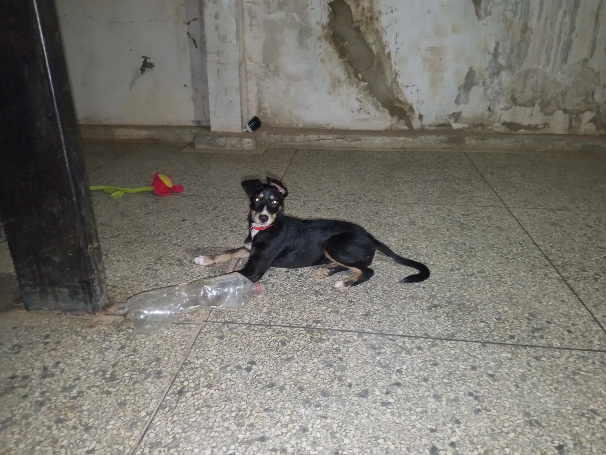 gtZH2kBt1LKNaMC8_1000508709.webp