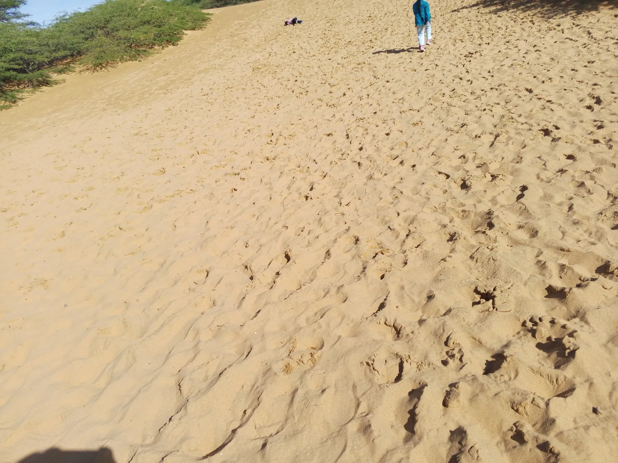 w8dv2EIIRg7mDHSd_1000576003.webp