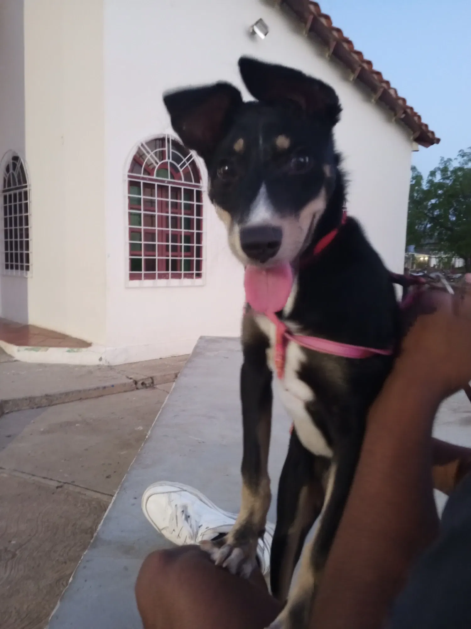y9S9Nlmupm7YOKvn_1000535088.webp