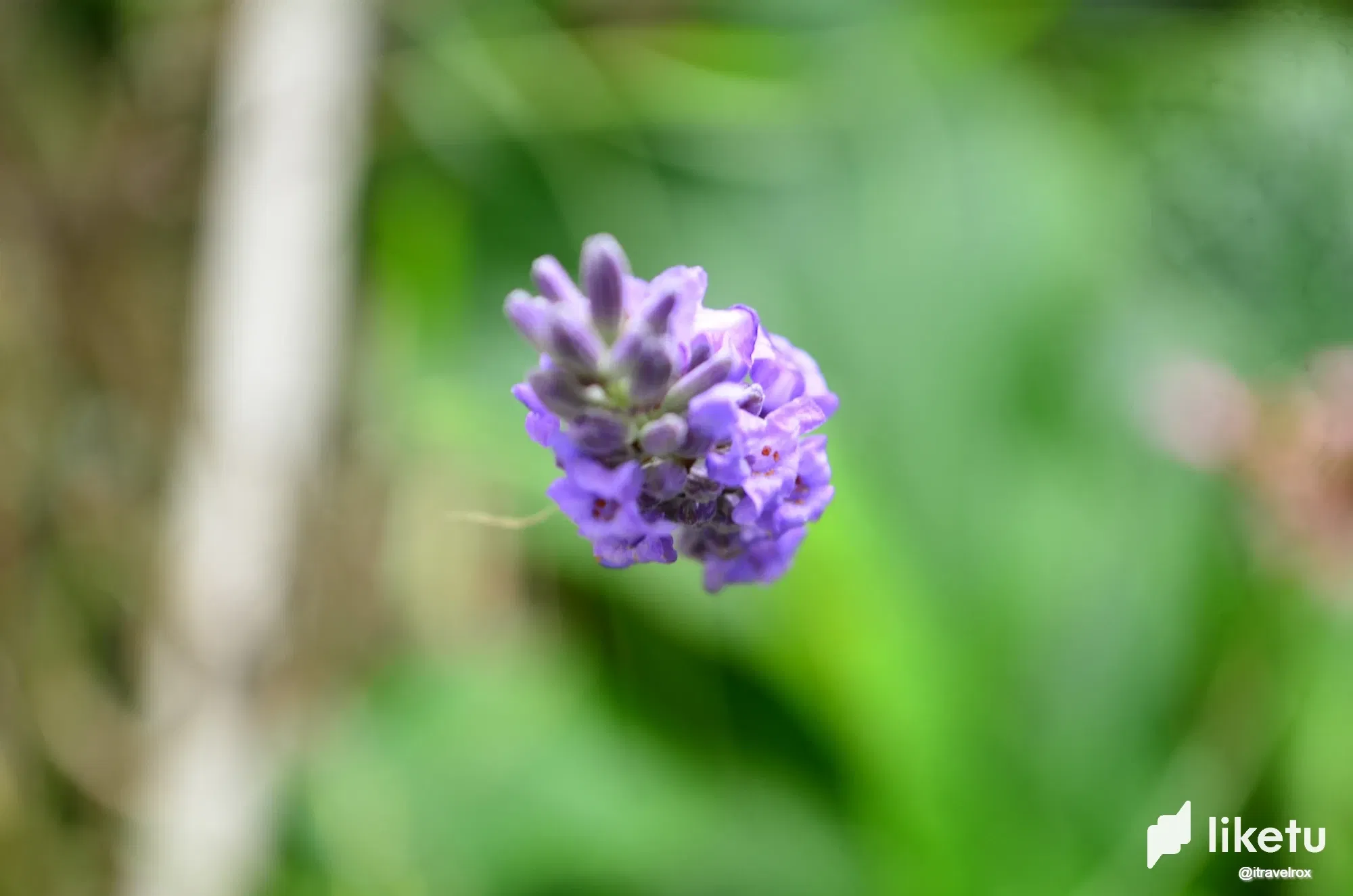 0nFAULWB8vURNAyb_DSC_0215.webp
