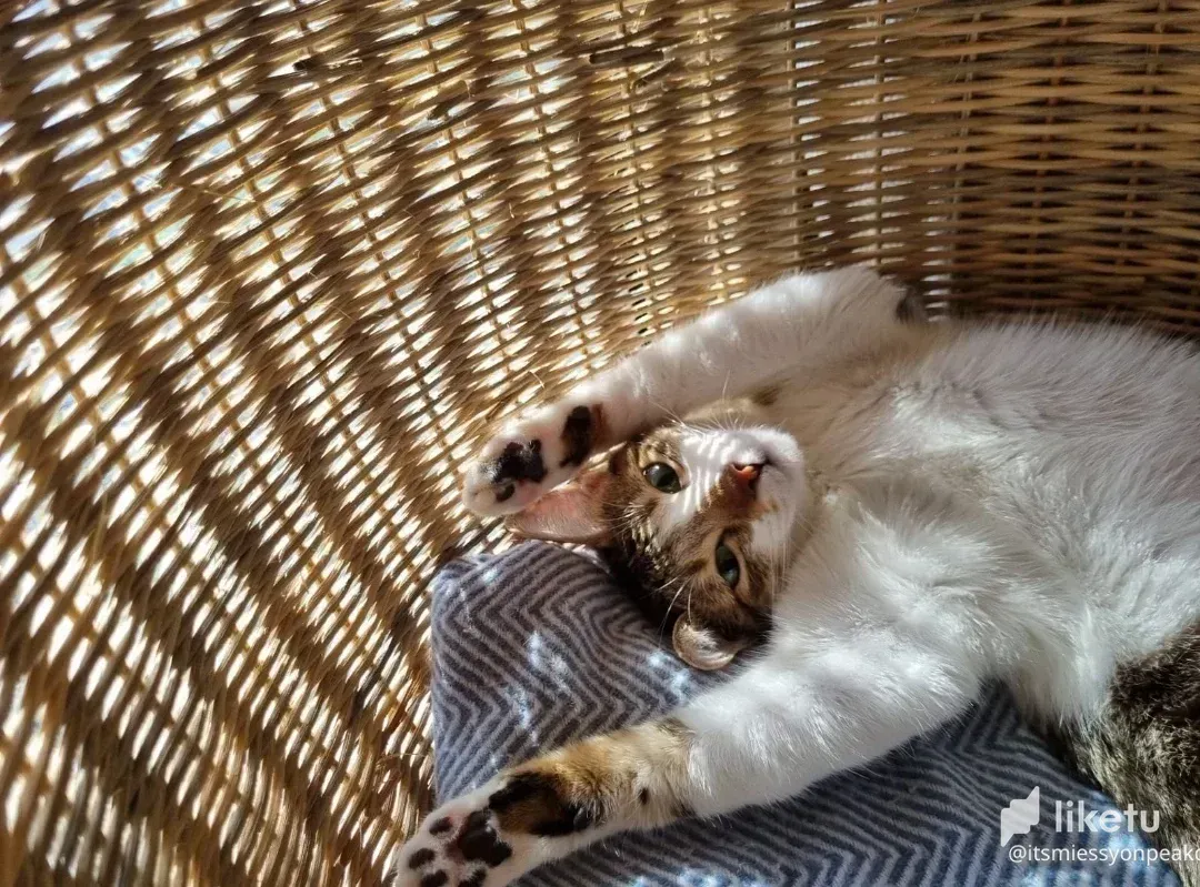 A DAY in the life of  NEYNEY =))