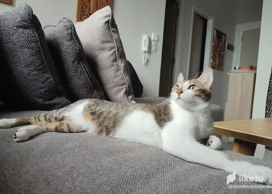 A DAY in the life of  NEYNEY =))