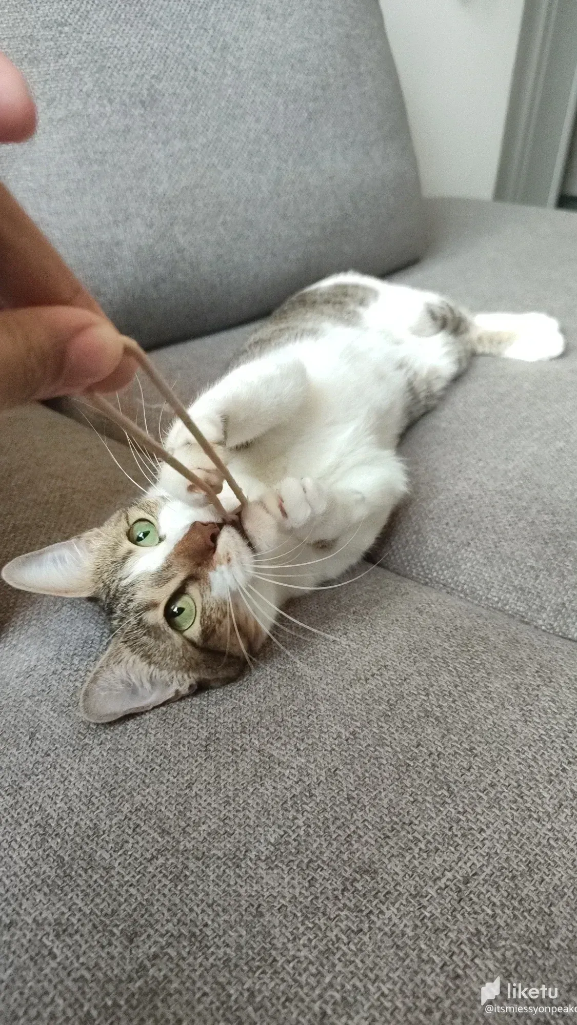 A DAY in the life of  NEYNEY =))