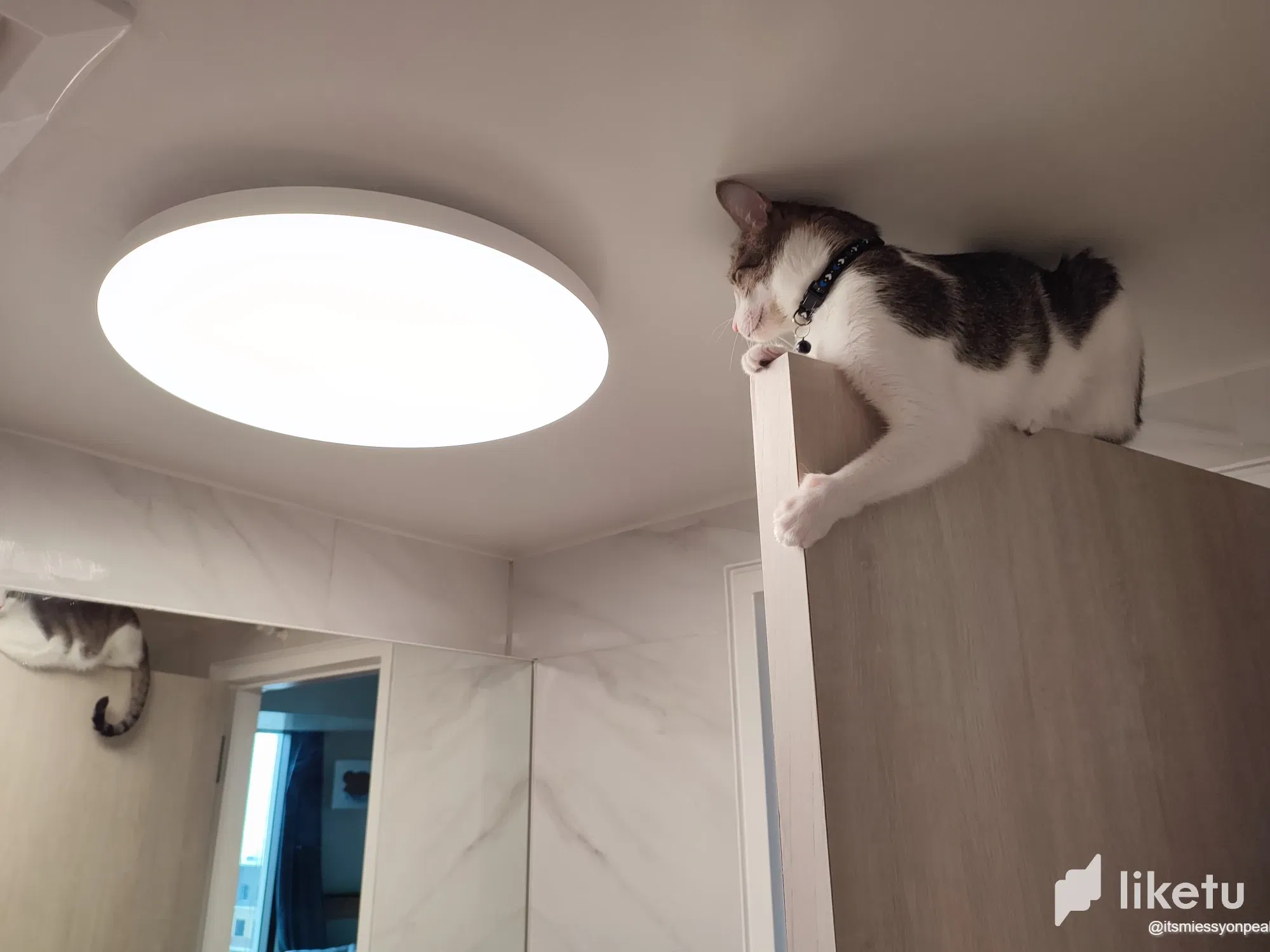 J E E P jeep and his new H O B B Y 🐱