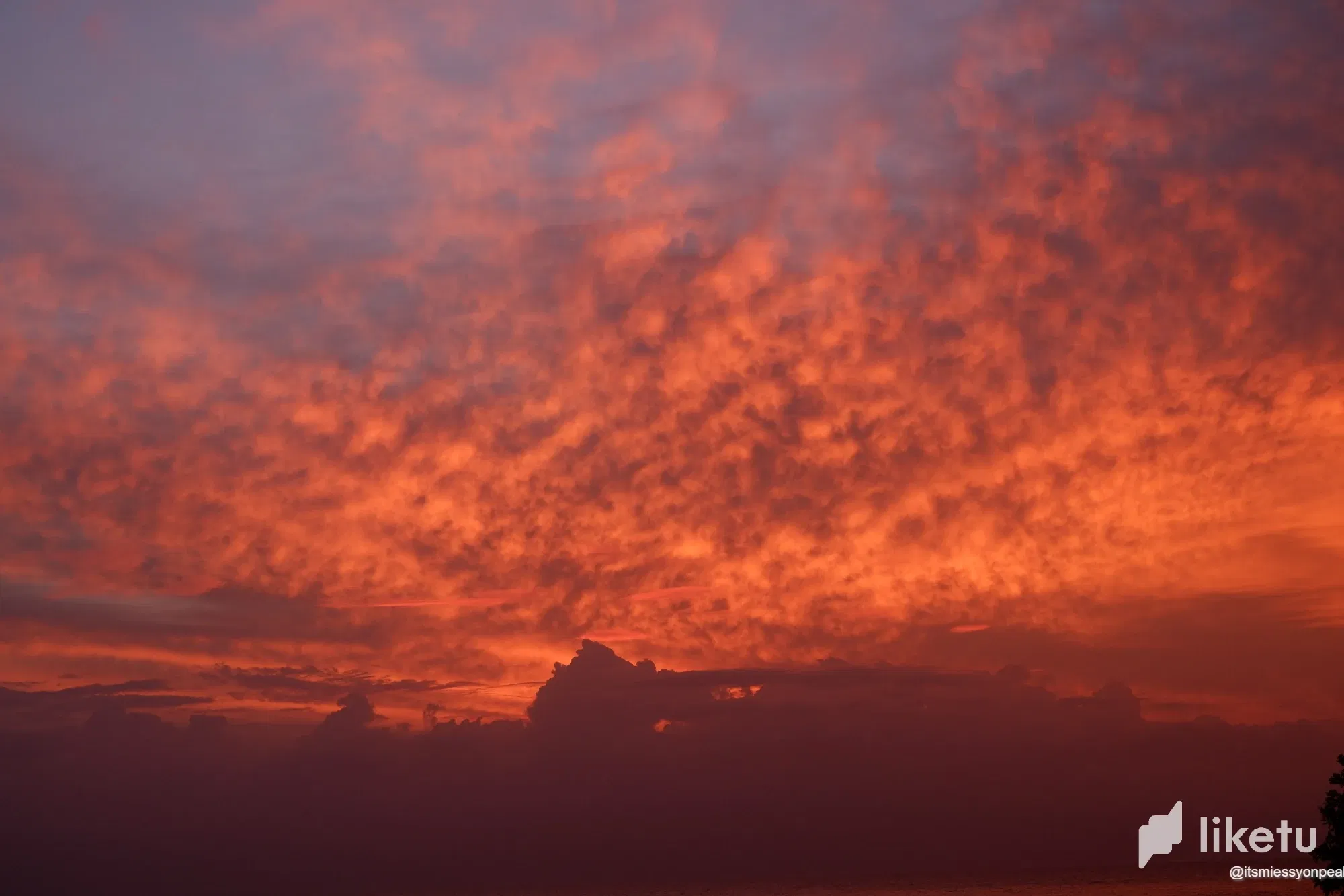 clgjgaae801a1a7sz5i6a4use_2023_0410_18143400.webp