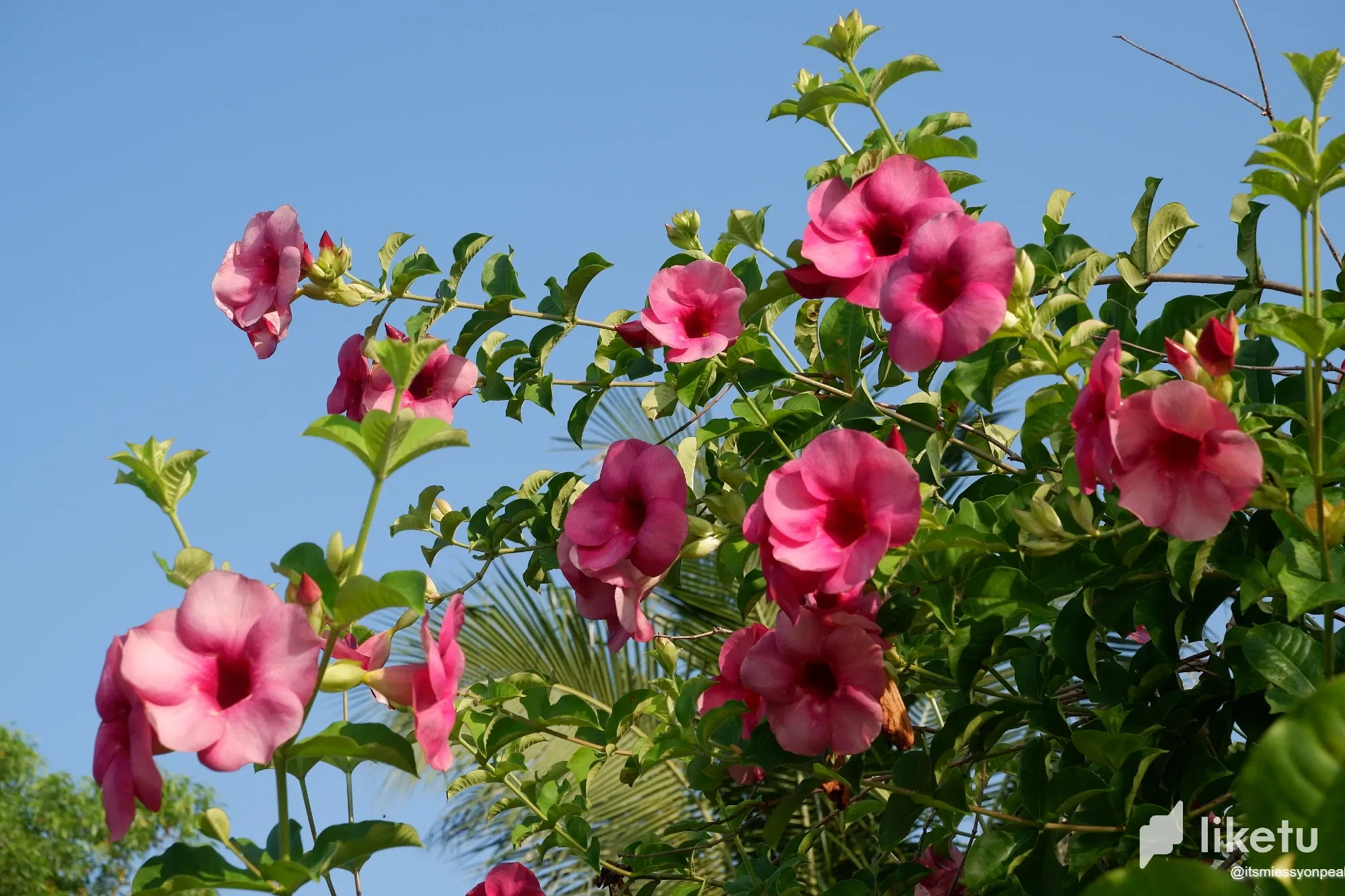 clgqjplve022yazsz27i18kaa_2023_0412_07291600.webp