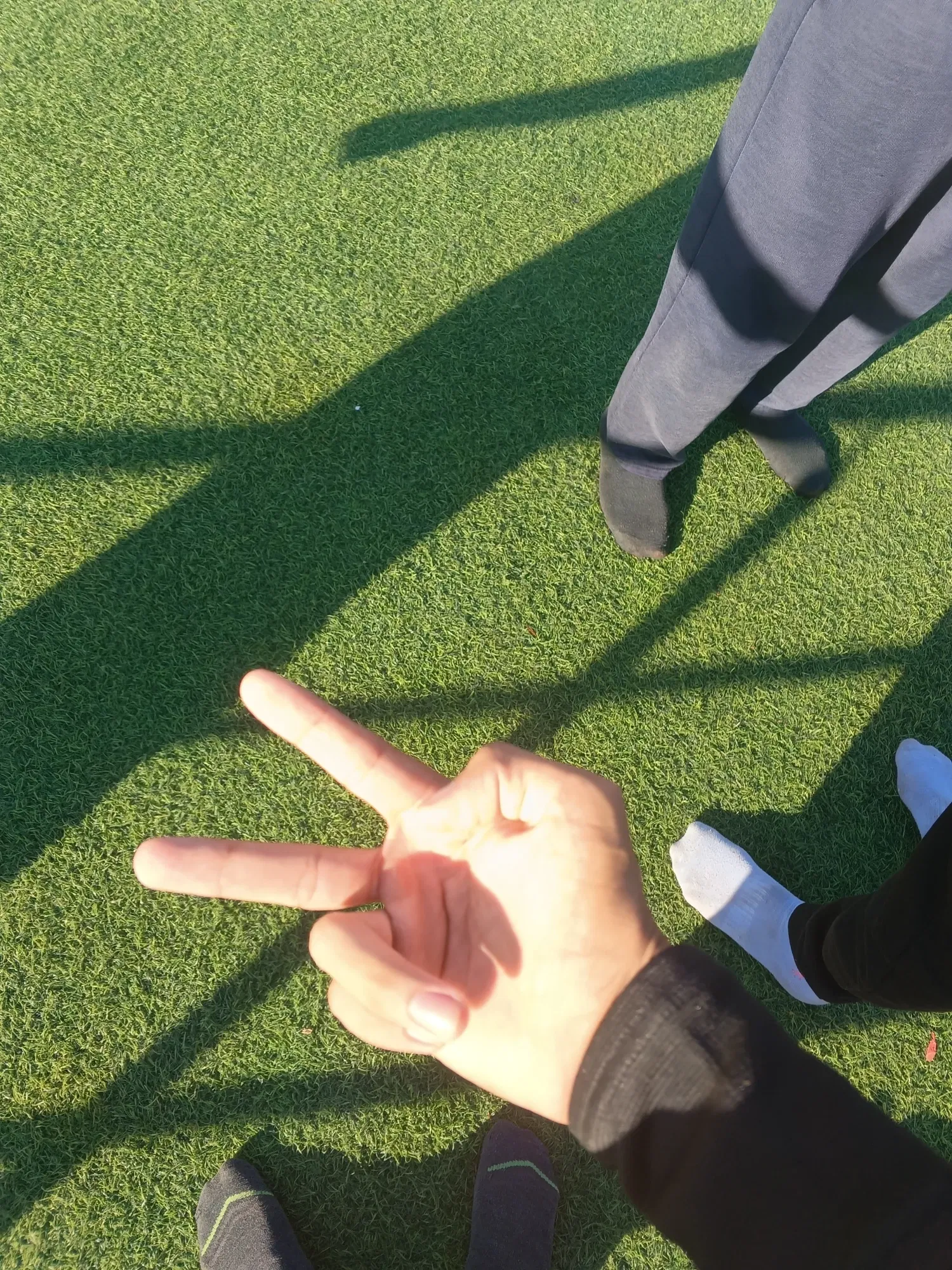 oHOc5A3yYz0oZMpL_1000180904.webp