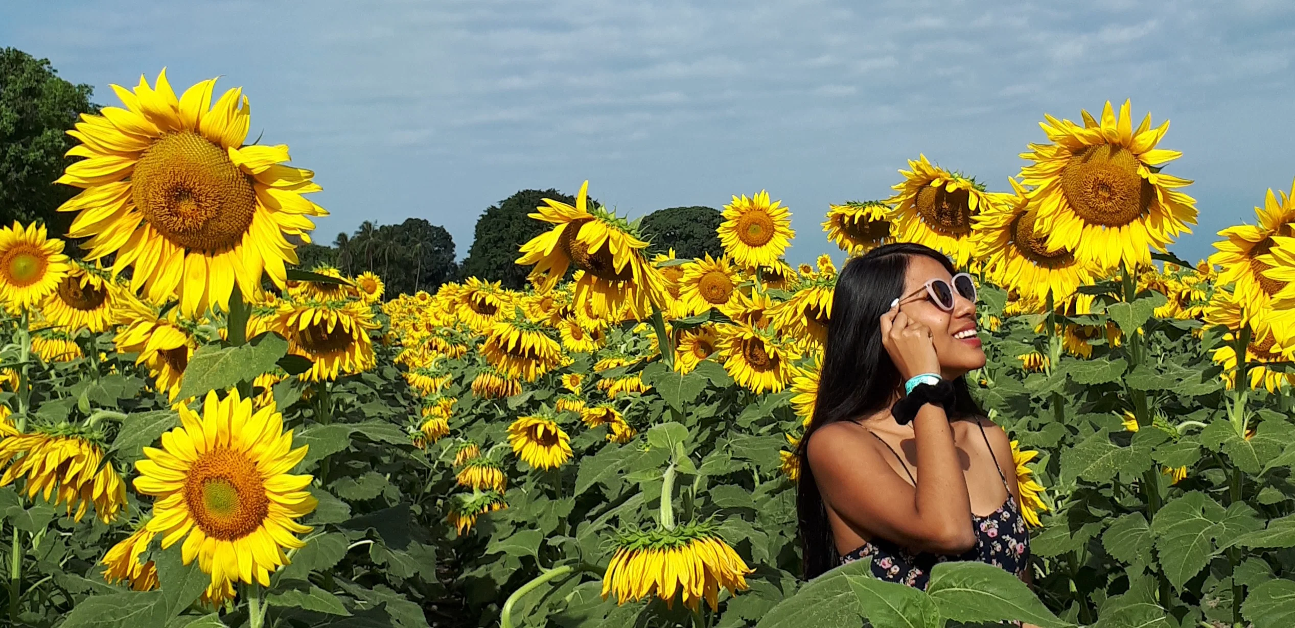 Jazmin Apaza's cover