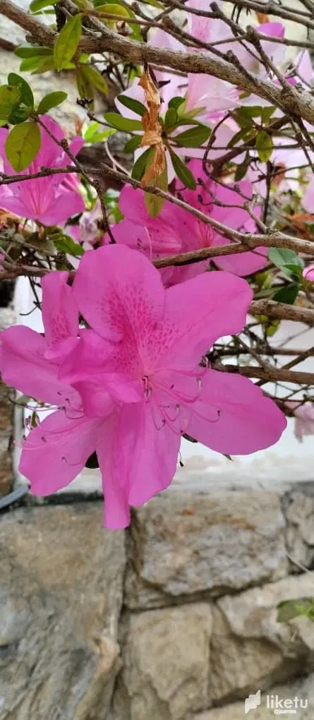 clgvmkpyo0223a7sze3dxefqp_WhatsApp_Image_2023-04-24_at_9.06.50_PM.webp