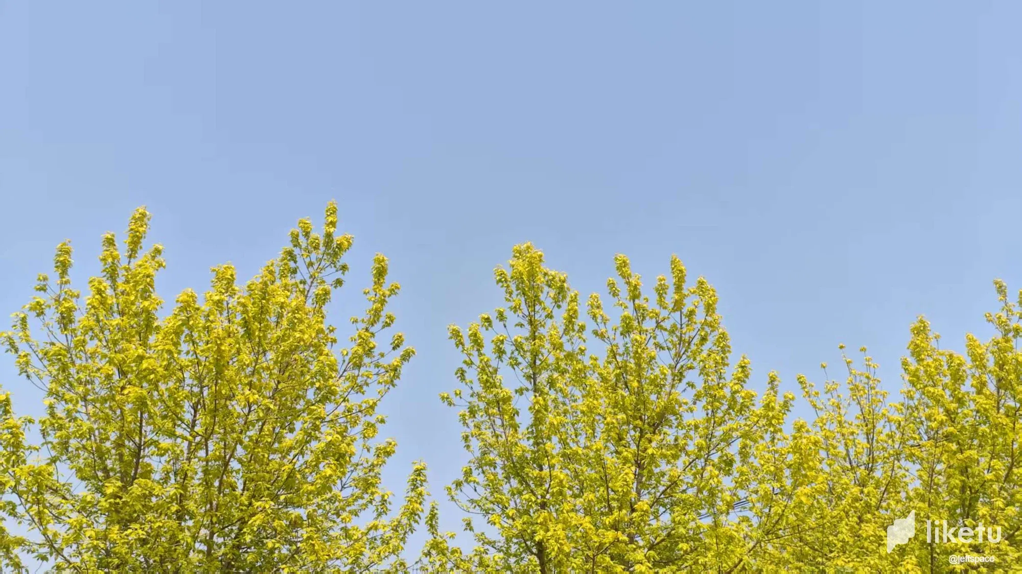 FKxtRgDeyuCTZAsF__20250417053839.webp