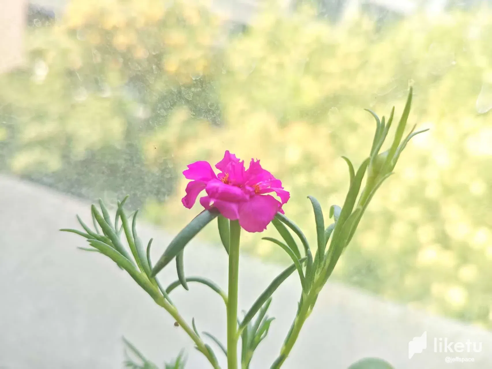 H97o12GM27J99yqS__20250719081227.webp