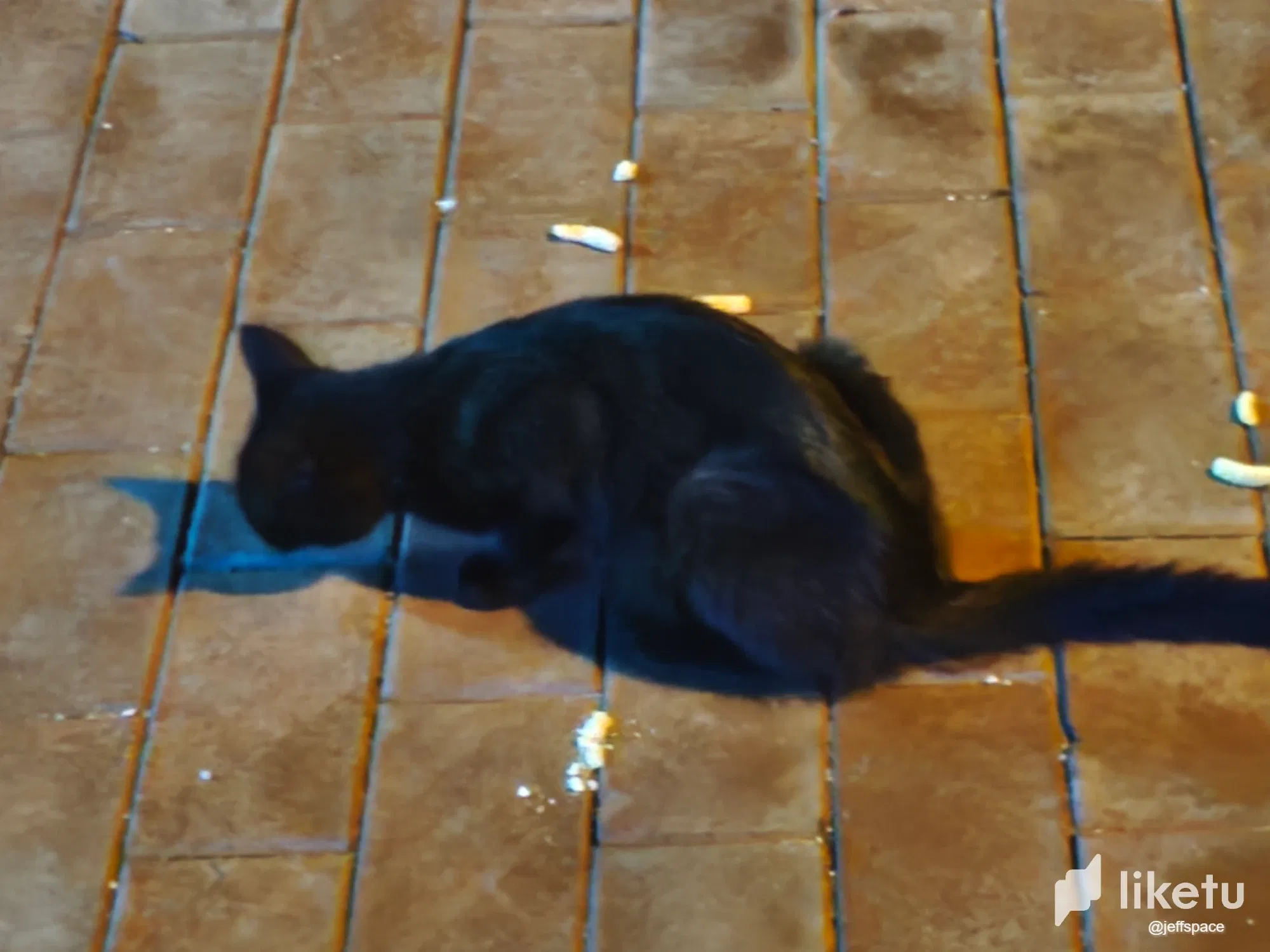 IMpFsGyf7KU8xUYd__20250727073347.webp