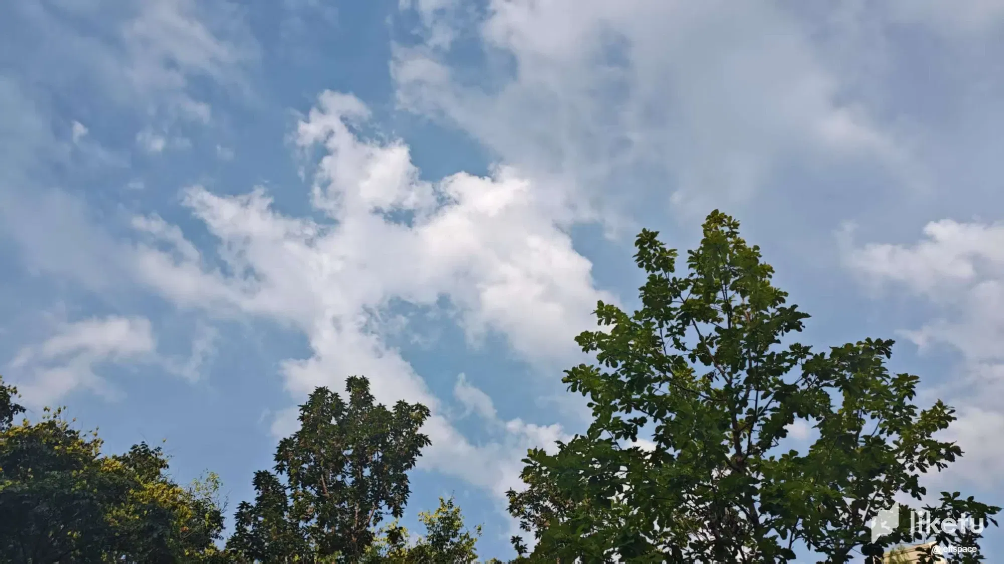 PuWIiZWRskHFsYJb__20250714072925.webp