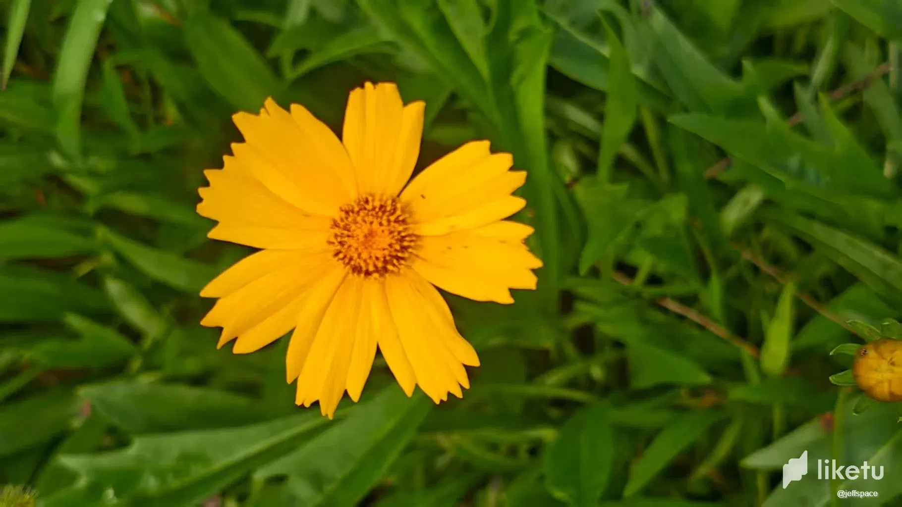 S8g4uiw3K2ejpmPE__20250816123227.webp