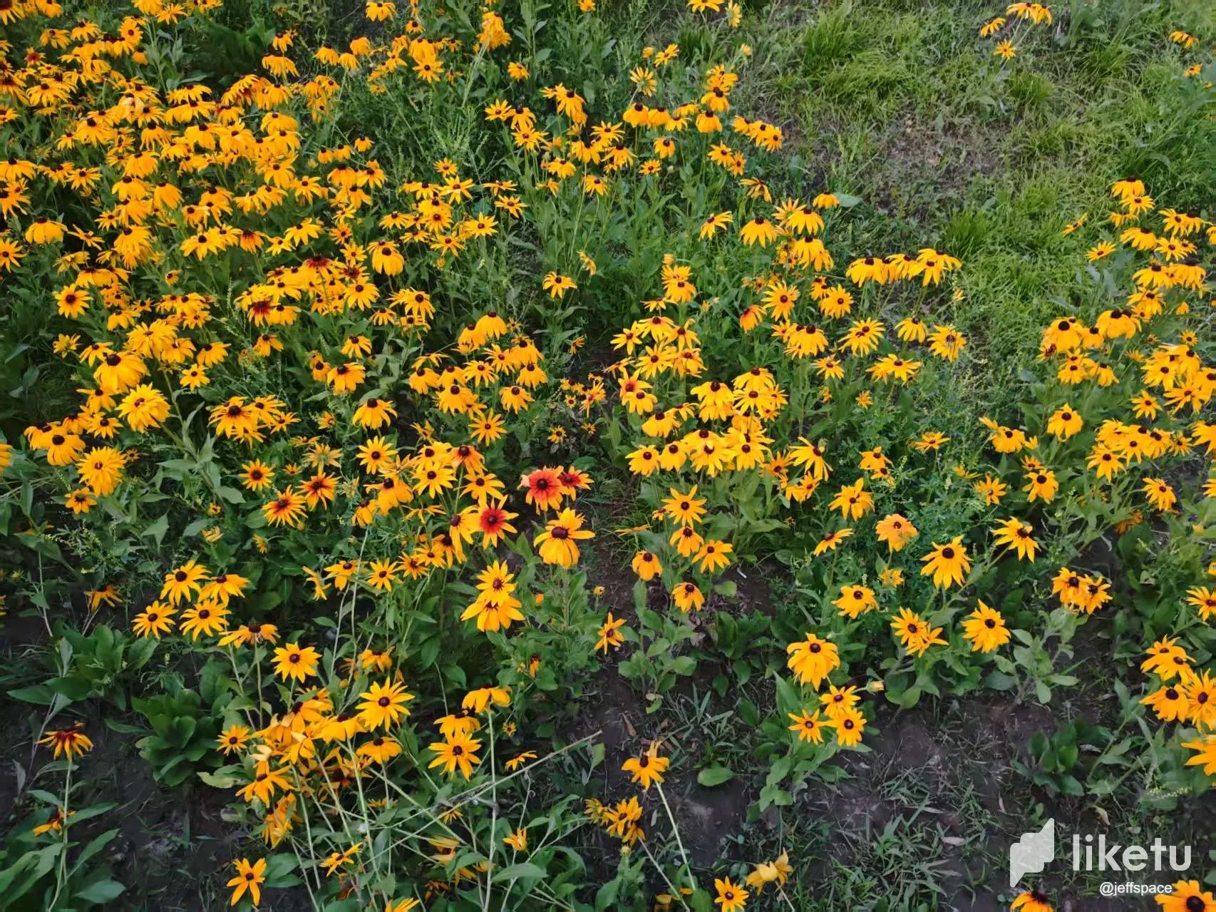 SSWNrAufNMQmOfMi__20250618052850.webp