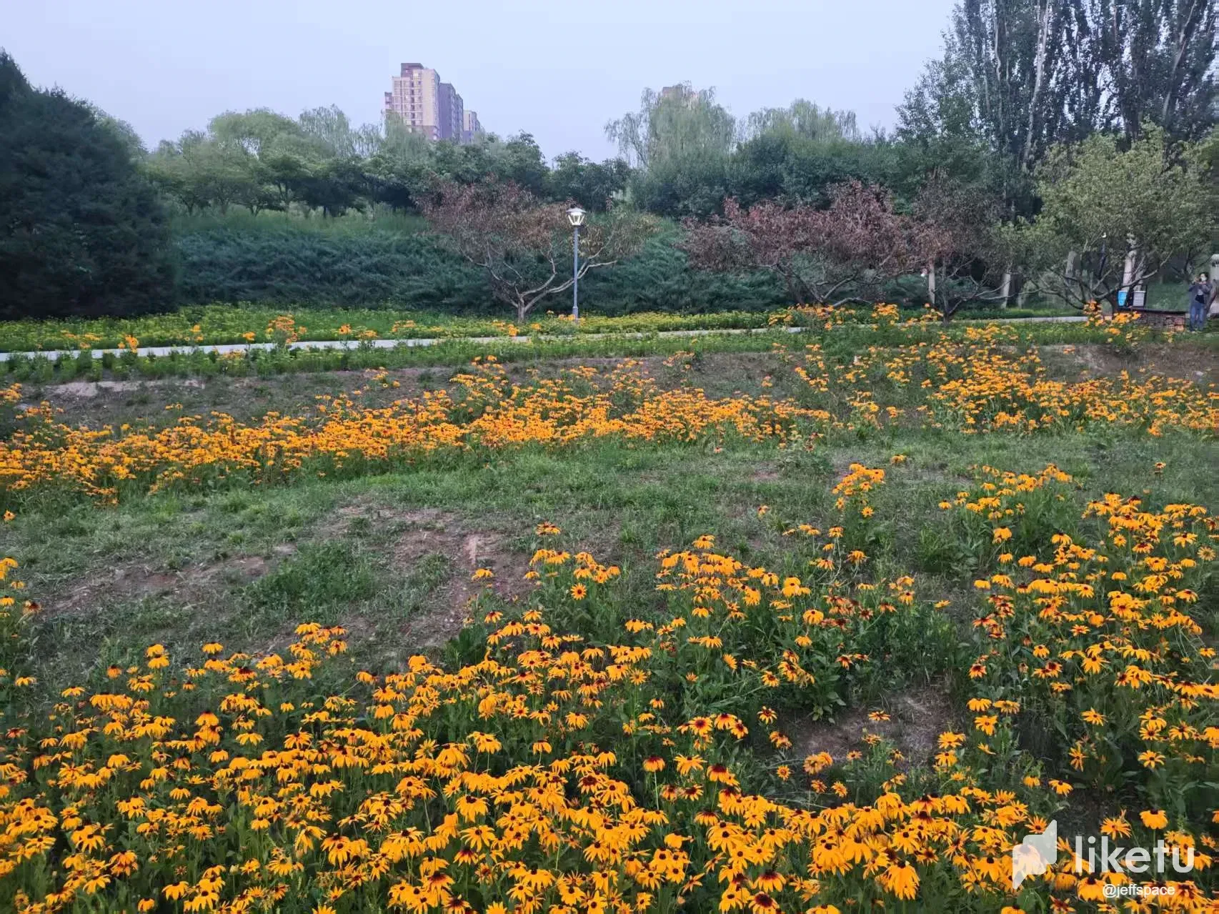 Soh2NvRaYAbCAEvw__20250618052900.webp