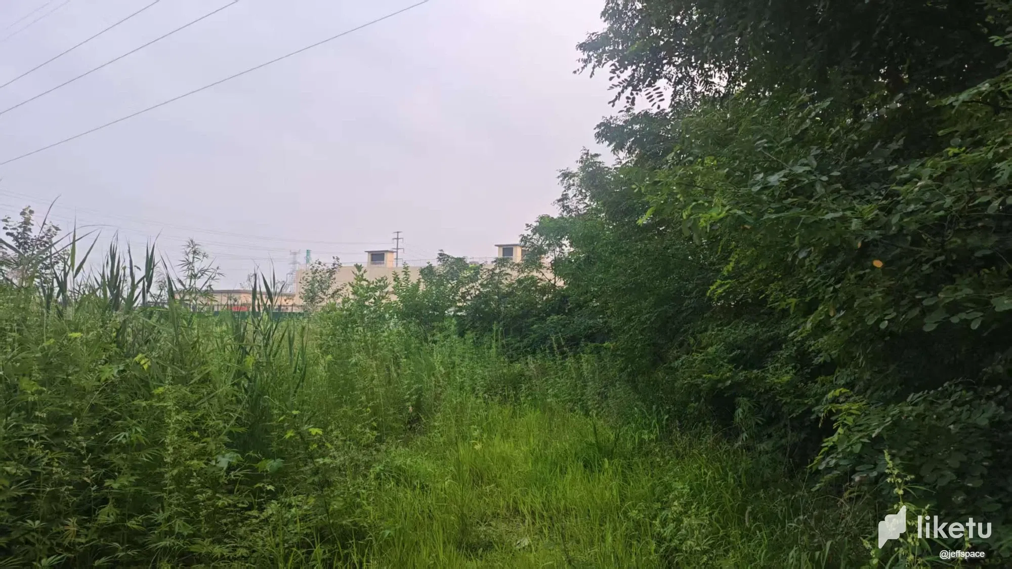 lkYTJBC0I4gkgeHC__20250701050105.webp