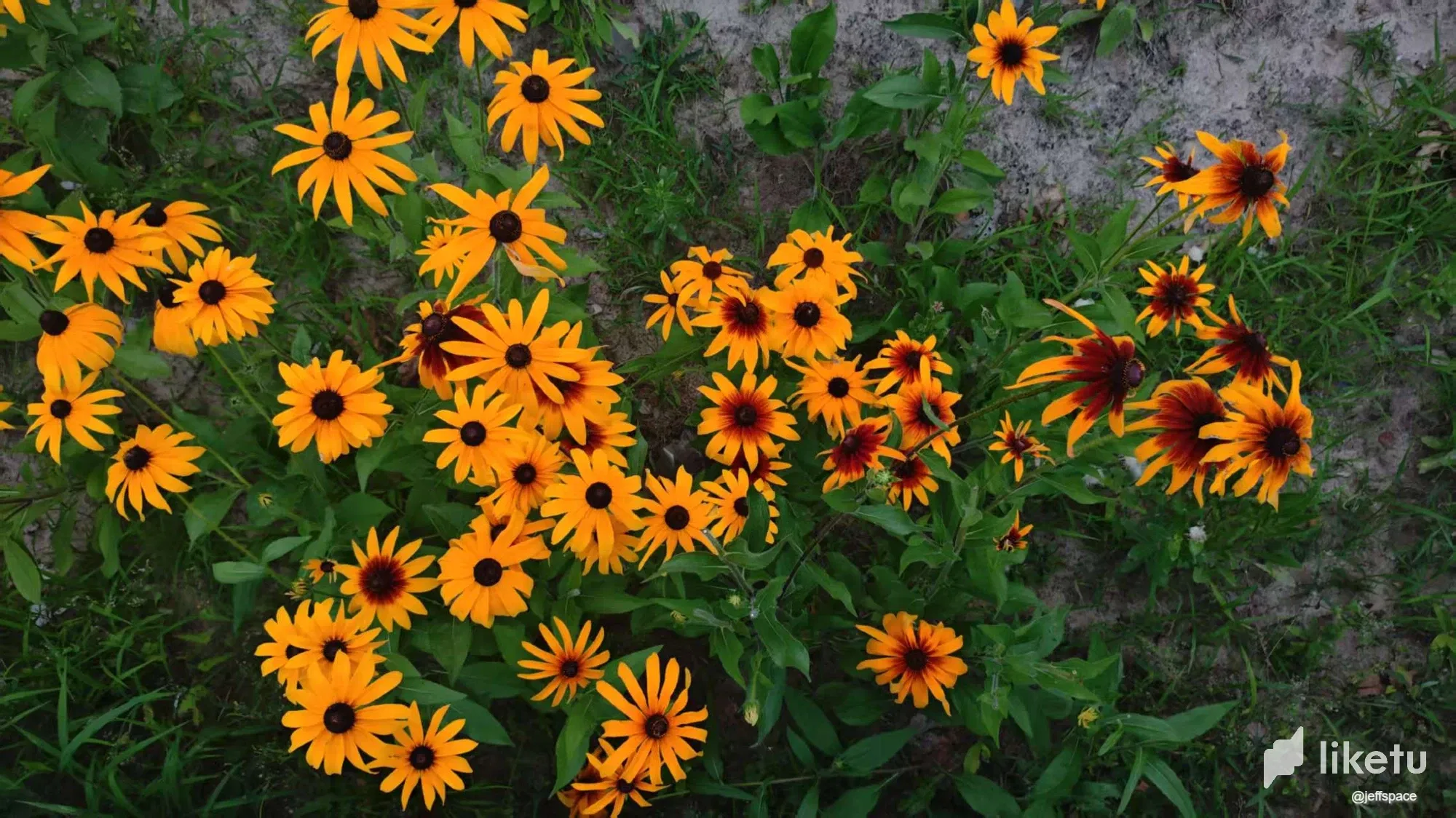 nOjMsABAUHY6gkfl__20250625062026.webp