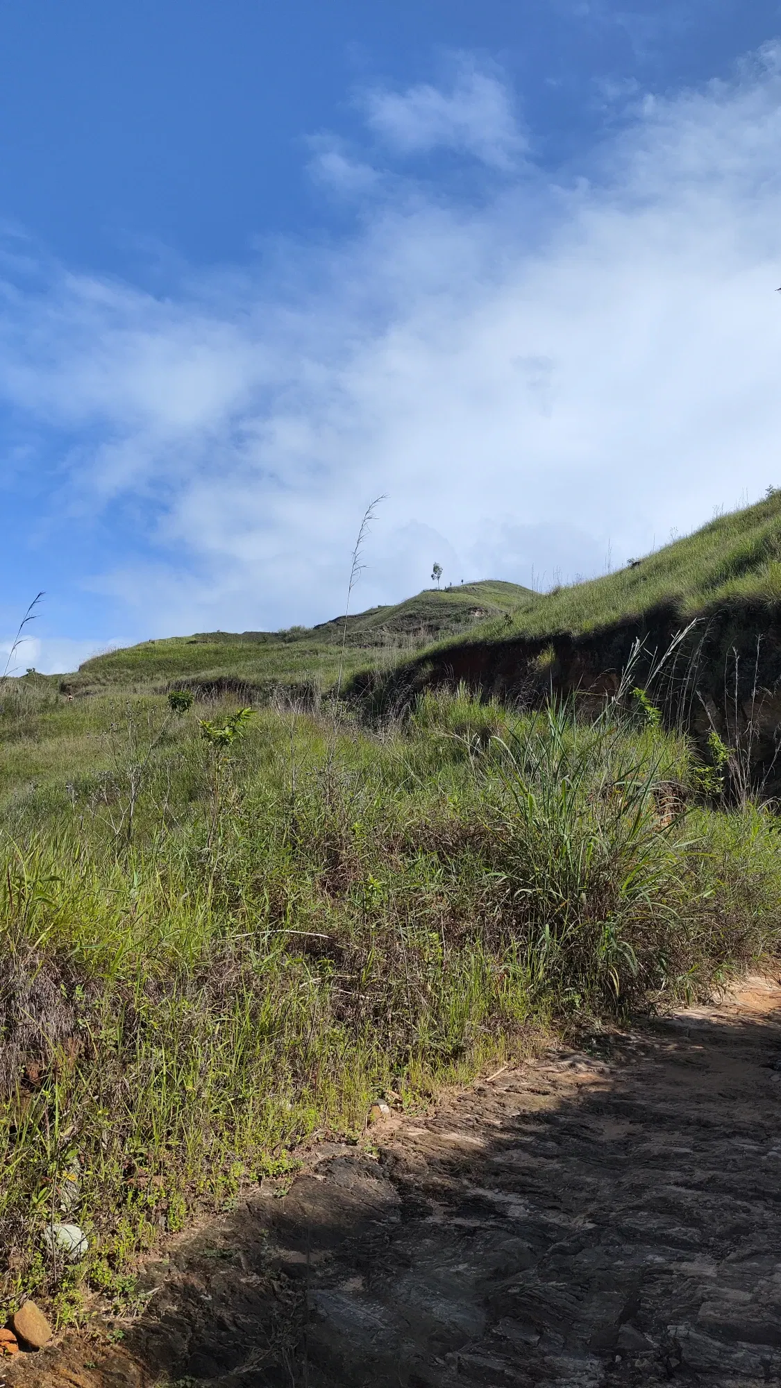 huoDYLCJQx74X3d5_1000500826.webp
