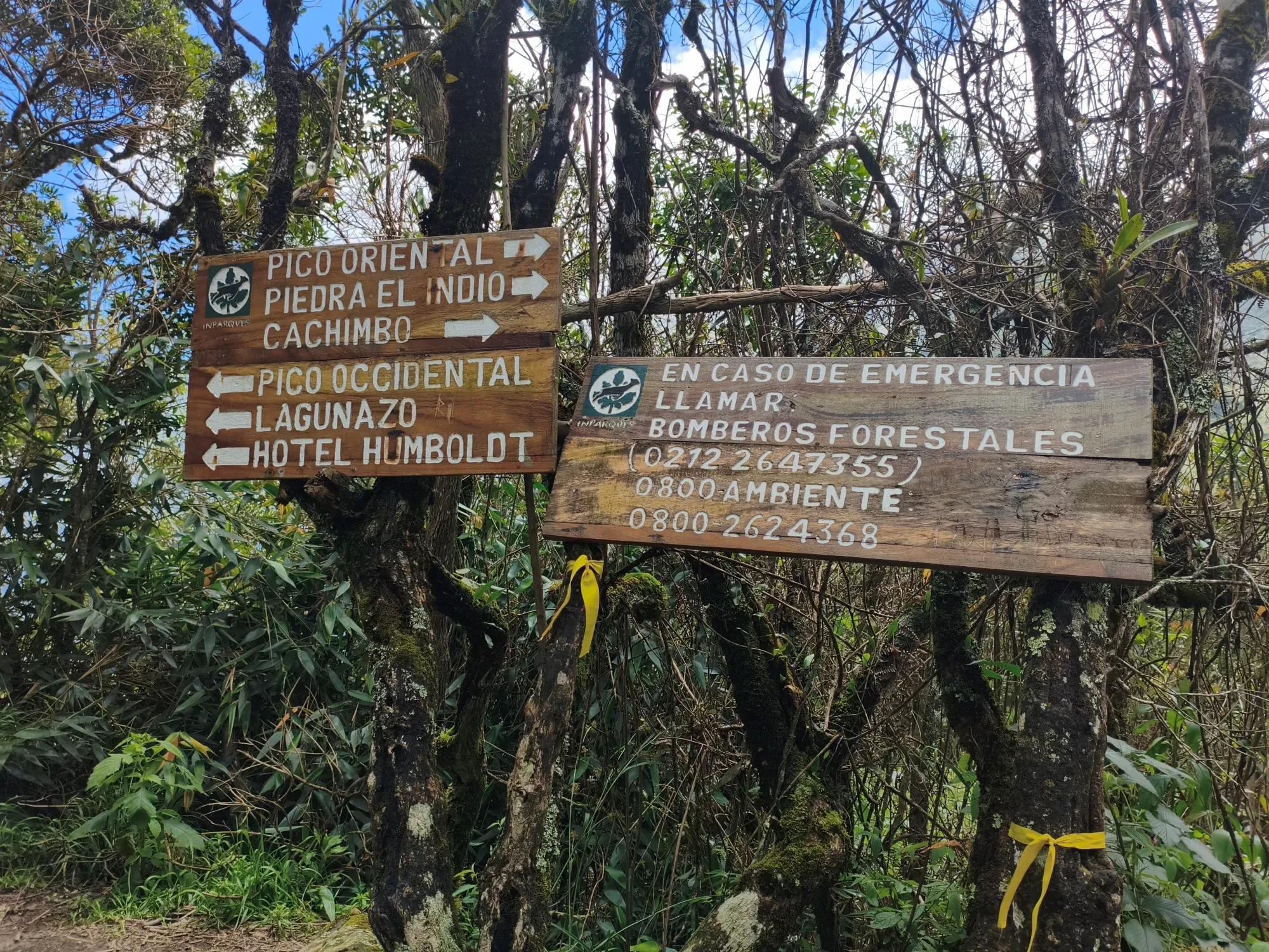 eXQ5yN…
Payout: 0.000 HBDlas bondades del senderismo/ The benefits of hiking
2025-09-14 00:04<liketuimages> <center> ![3XoEHlGtfWT65wQD_1000126097.webp