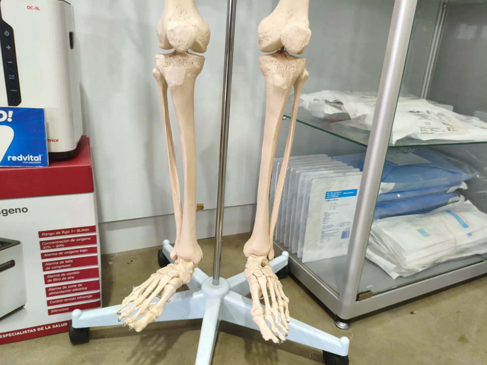 C5rDg6GCNGLfMPcI_1000073873.webp