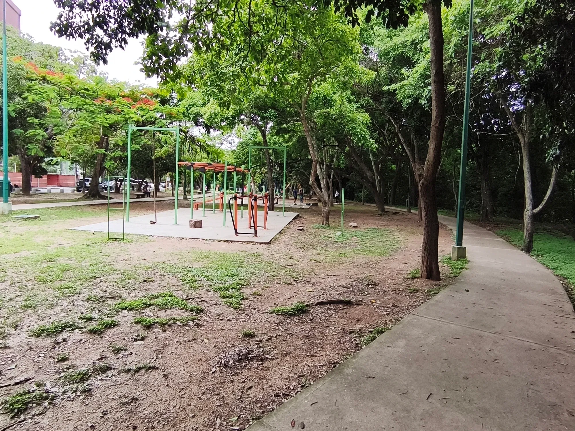 MZ1Ln8c0beJMdGm3_1000068977.webp