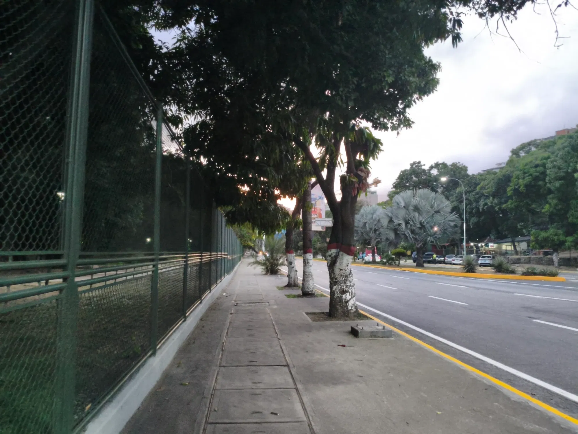 XsS5TSf77y2QfsQZ_1000104648.webp