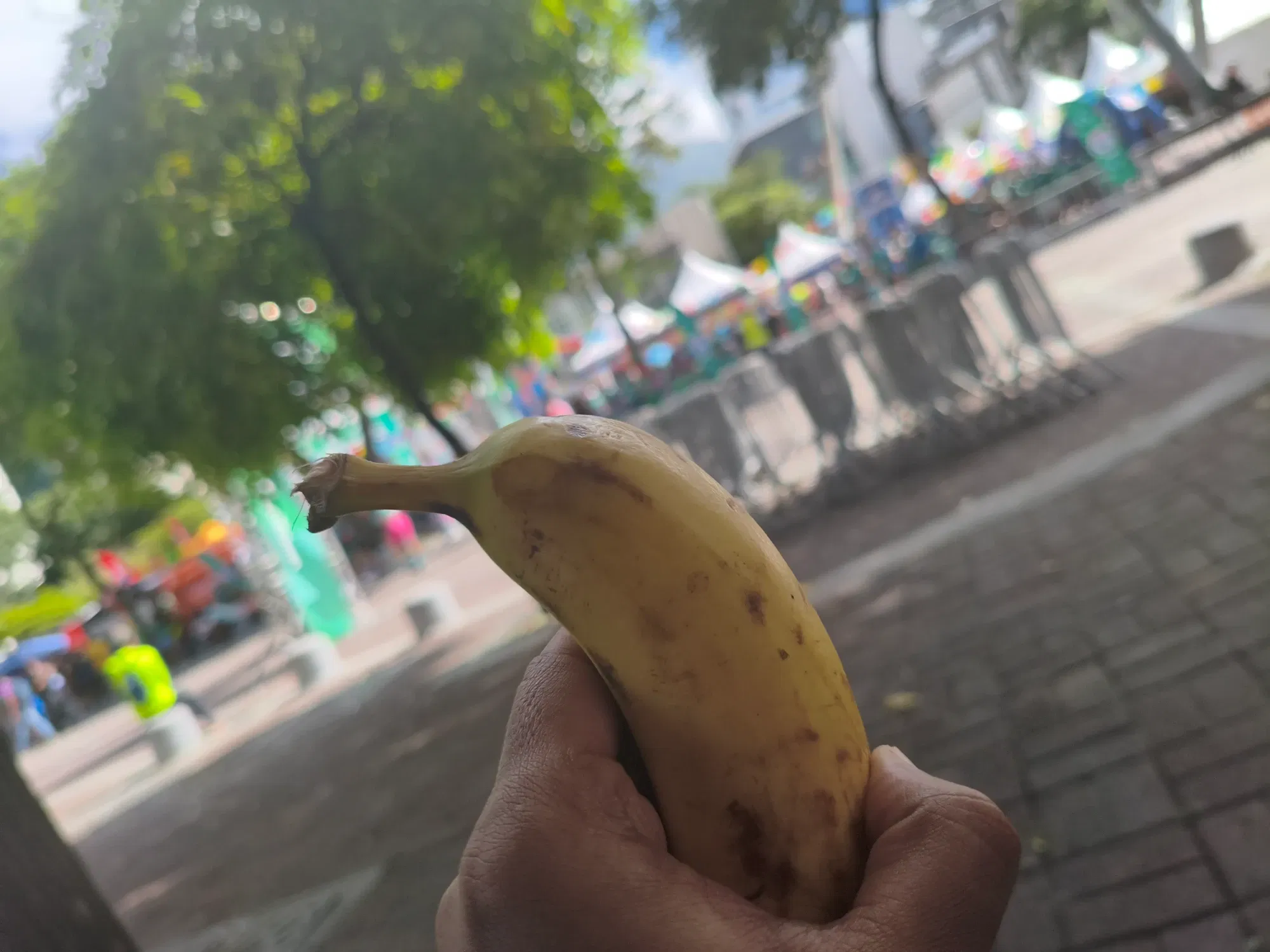 QHVhL7…
Payout: 0.000 HBDKilómetros y Potasio/ Kilometers and Potassium
2025-09-28 22:01<liketuimages> <center> ![feAZHvNUdPsWBDUH_1000137520.webp