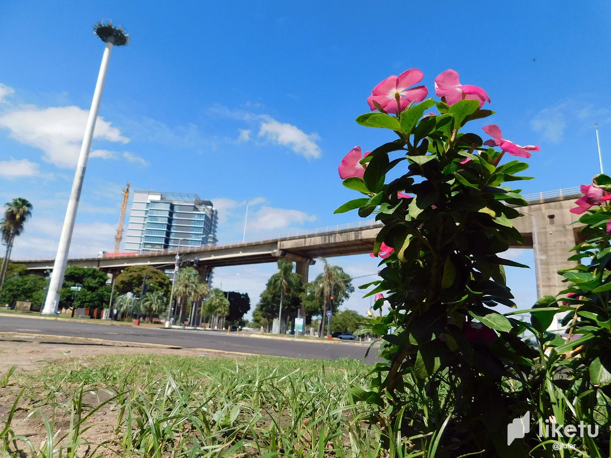DA77wJ71QzqyhwvC_DSCN0544.webp