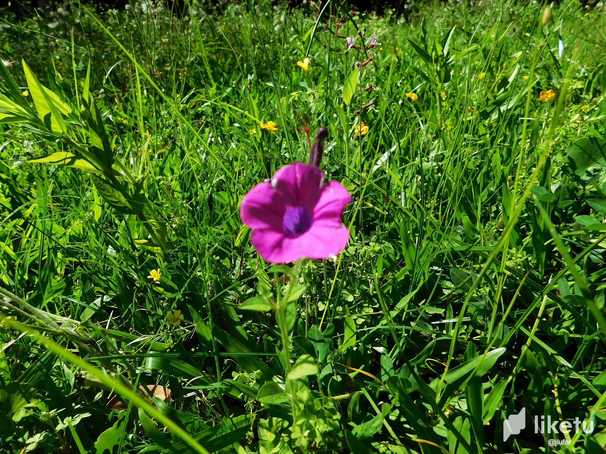 EOSNDP1sCwhwBZV4_DSCN0176.webp