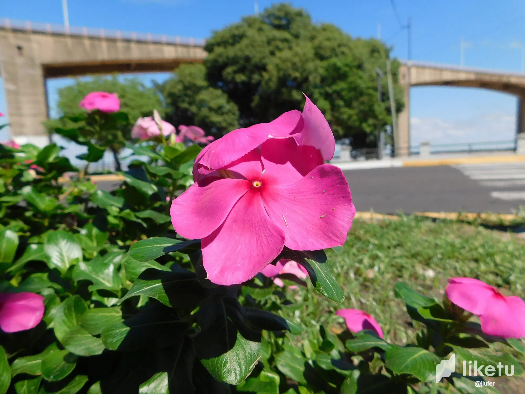 ESH0tVth7PIdFbTb_DSCN0545.webp