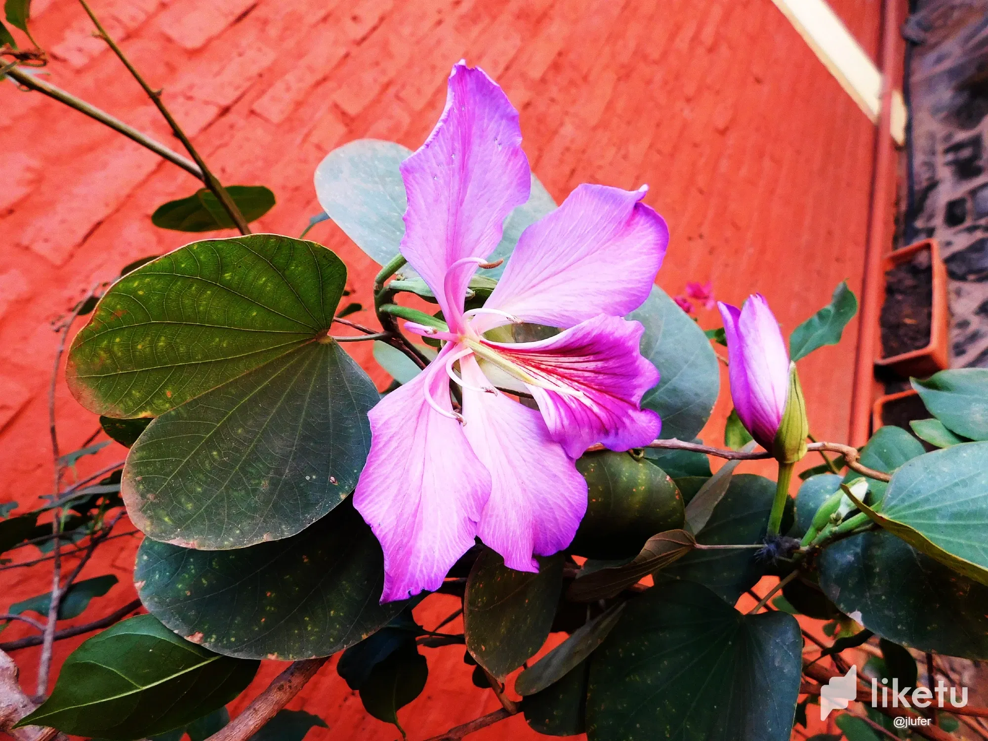 KMkZ06eQ66Zv02A2_DSCN0149.webp