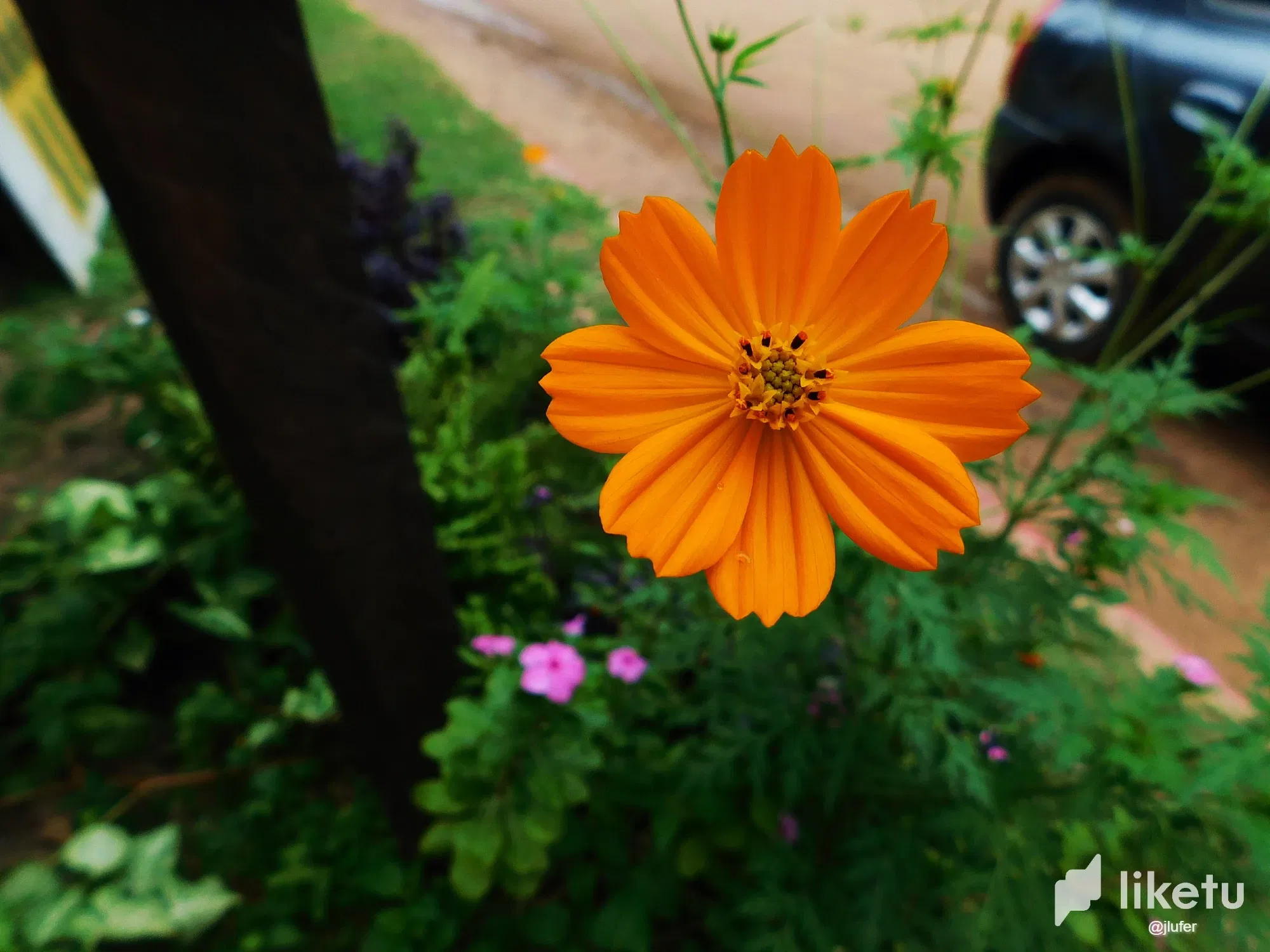 OyH5oBWq5U8pRESA_DSCN0071.webp