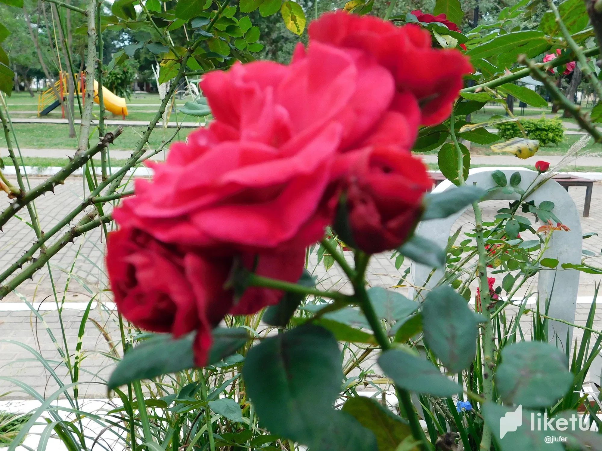 ZB5fpuw4RGN4TyPU_DSCN0124.webp