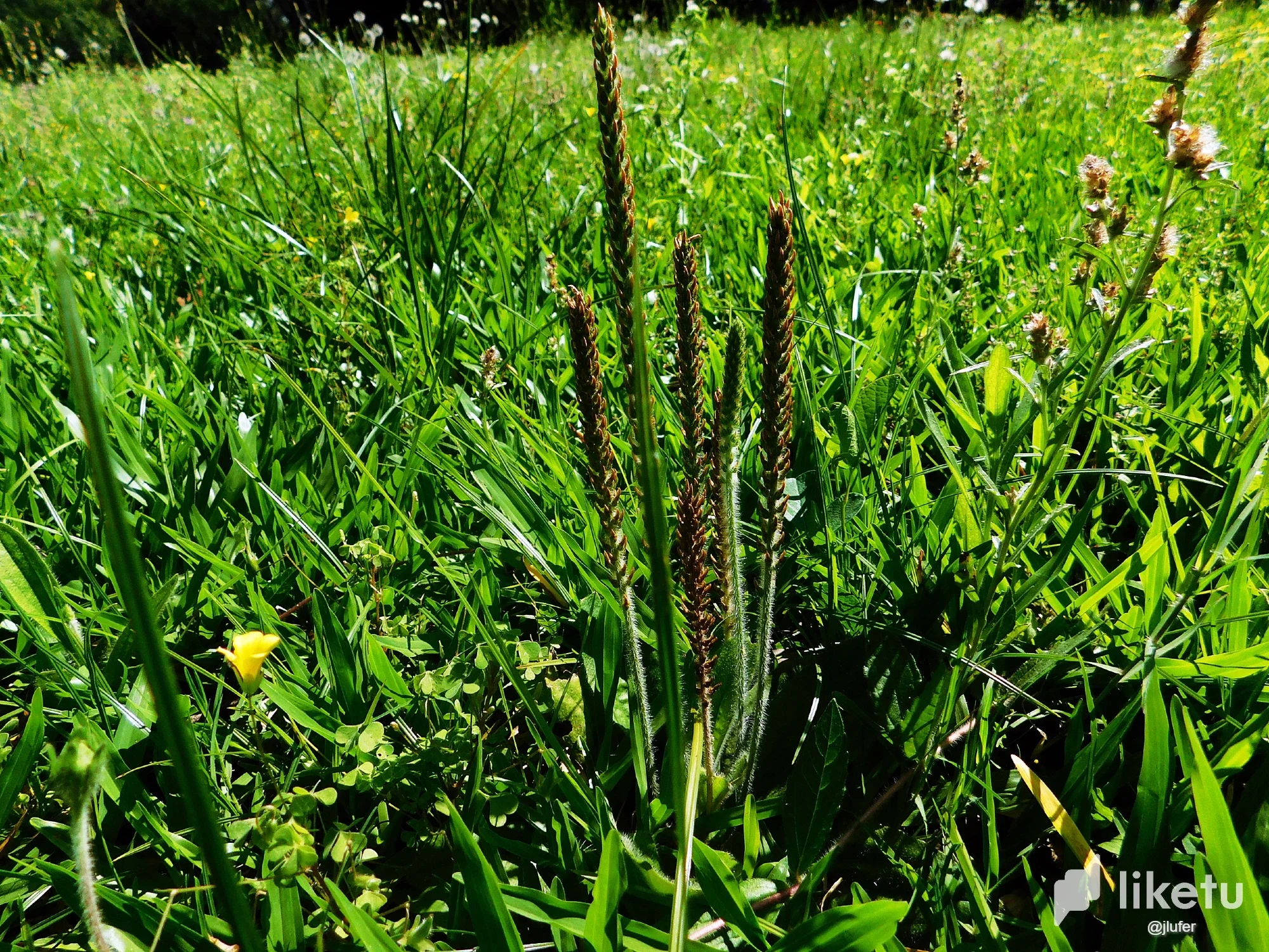 d1Y6JOTneFojH2nI_DSCN0162.webp