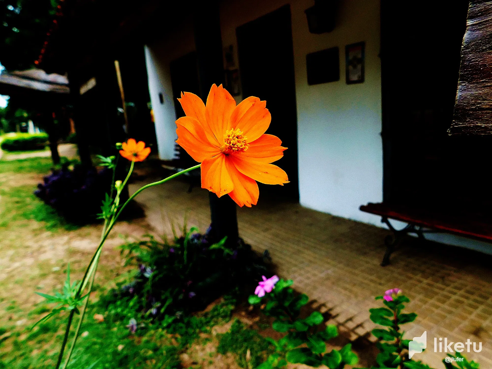 wDwtLe9XE5rO5lBm_DSCN0069.webp