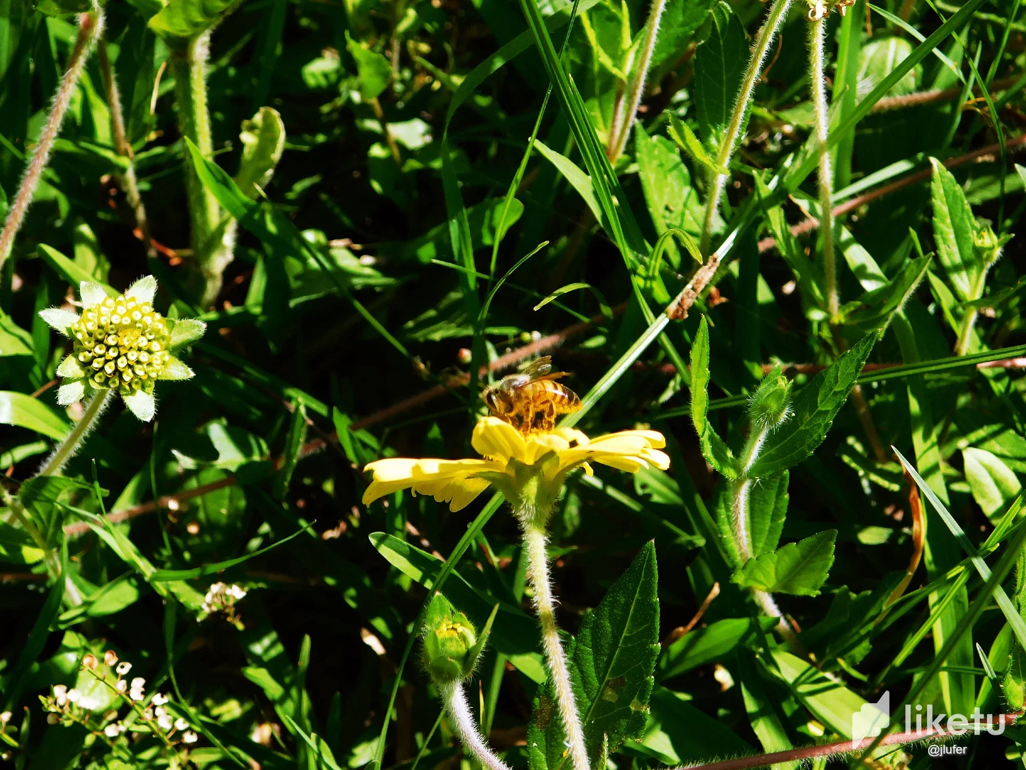 xEEBEN9eSTCwbglX_DSCN0149.webp