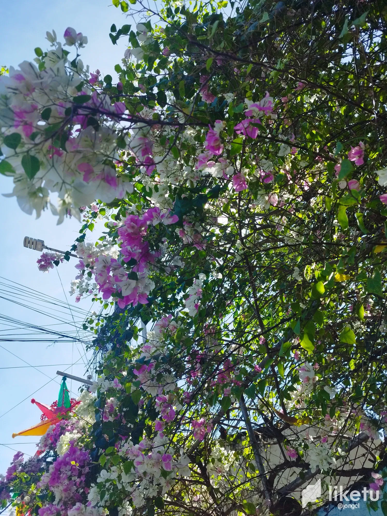 clou463ys00x77lsz59jthfib_IMG_20231110_125259.webp