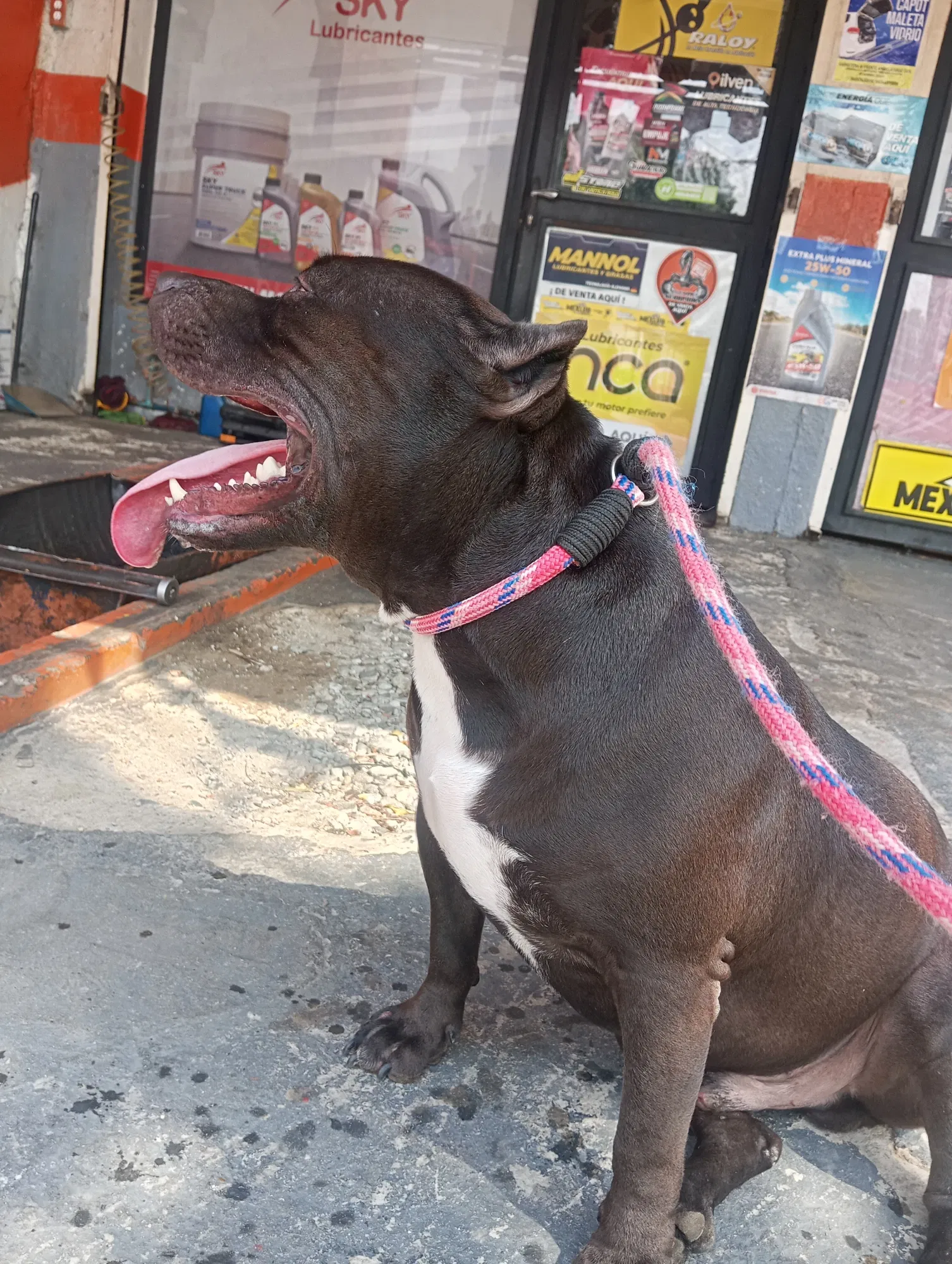 tGlmxqj5O0xla3Ph_1000930719.webp
