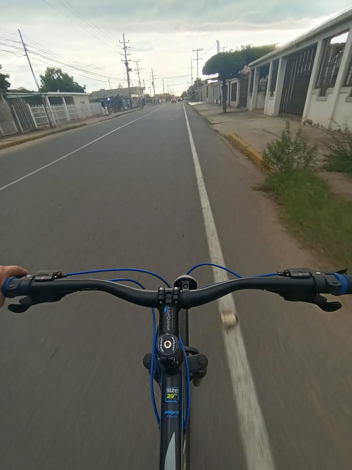 tdlbaG43mYxiHAmw_1000946163.webp