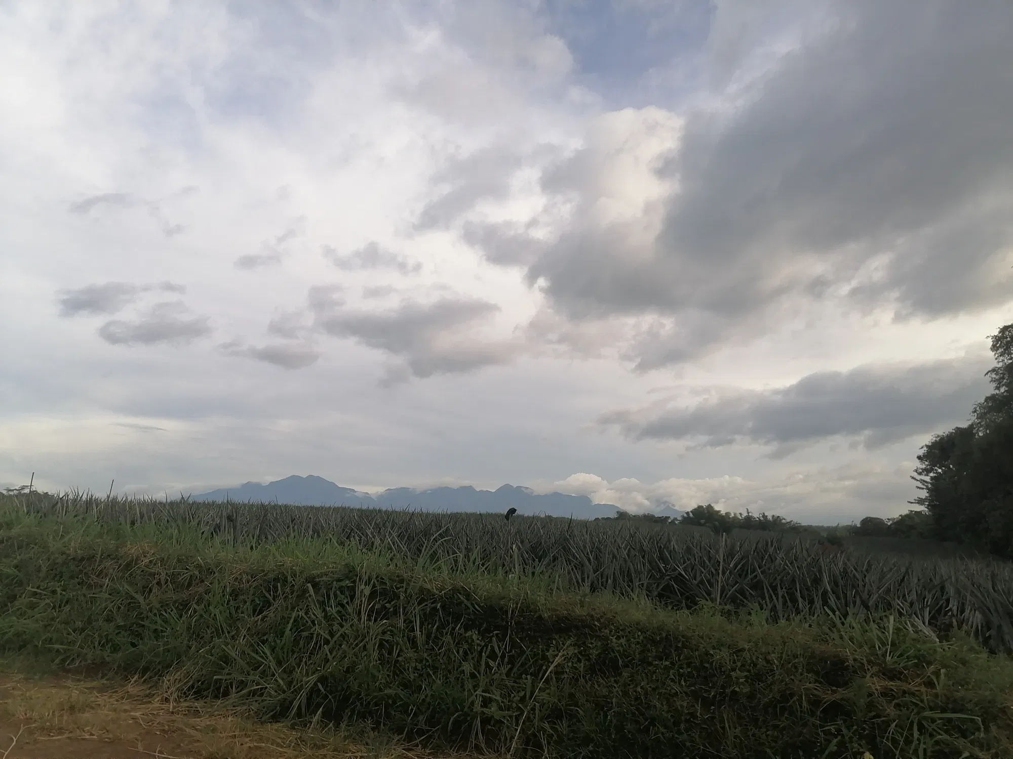 qMZRTcpvk6KWi0wu_IMG_20250419_165111.webp